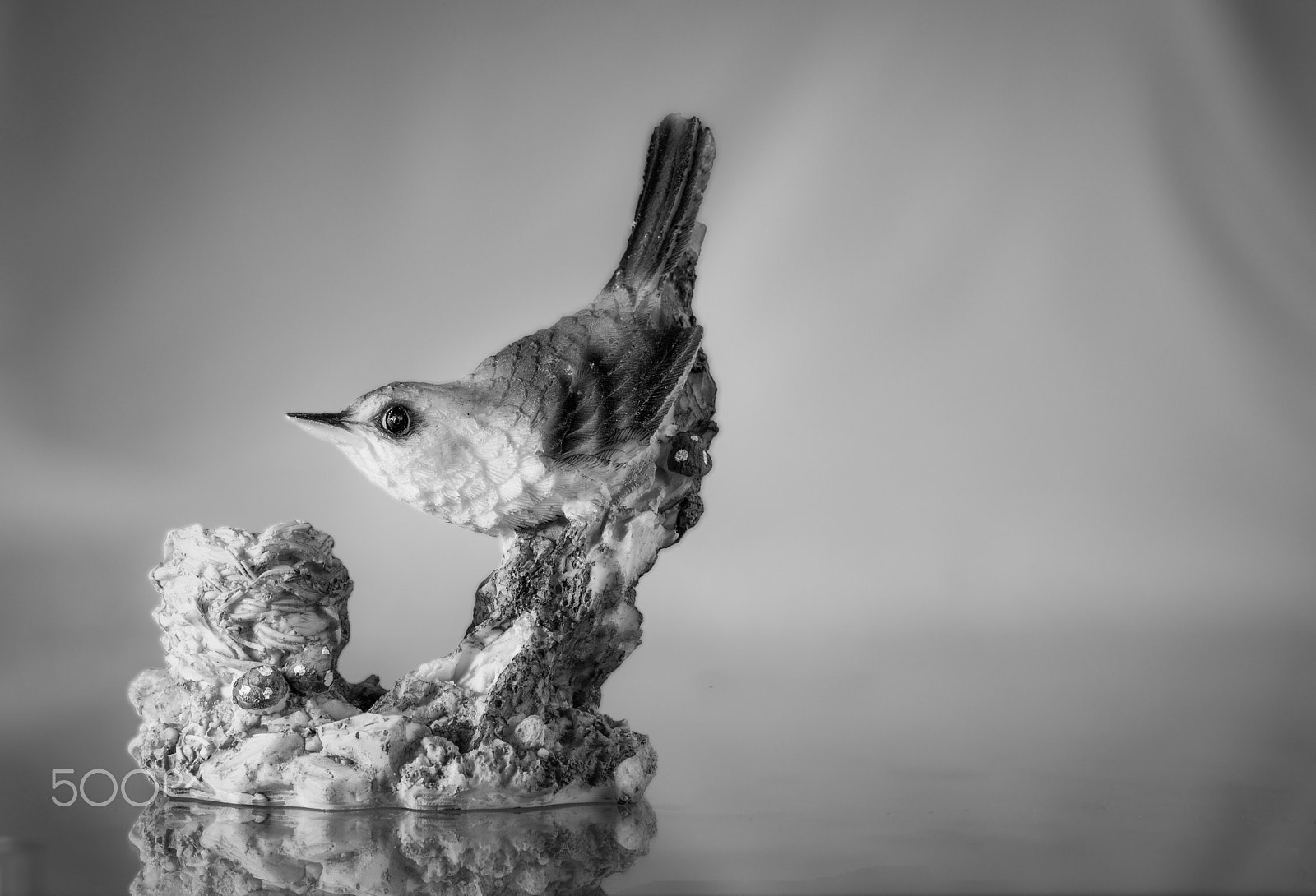 AF Nikkor 50mm f/1.8 sample photo. Bird photography