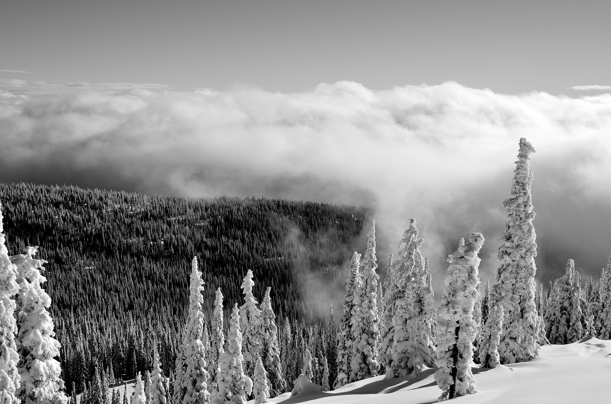 Nikon D7000 + Nikon AF Nikkor 28mm F2.8D sample photo. Big white easter chutes photography
