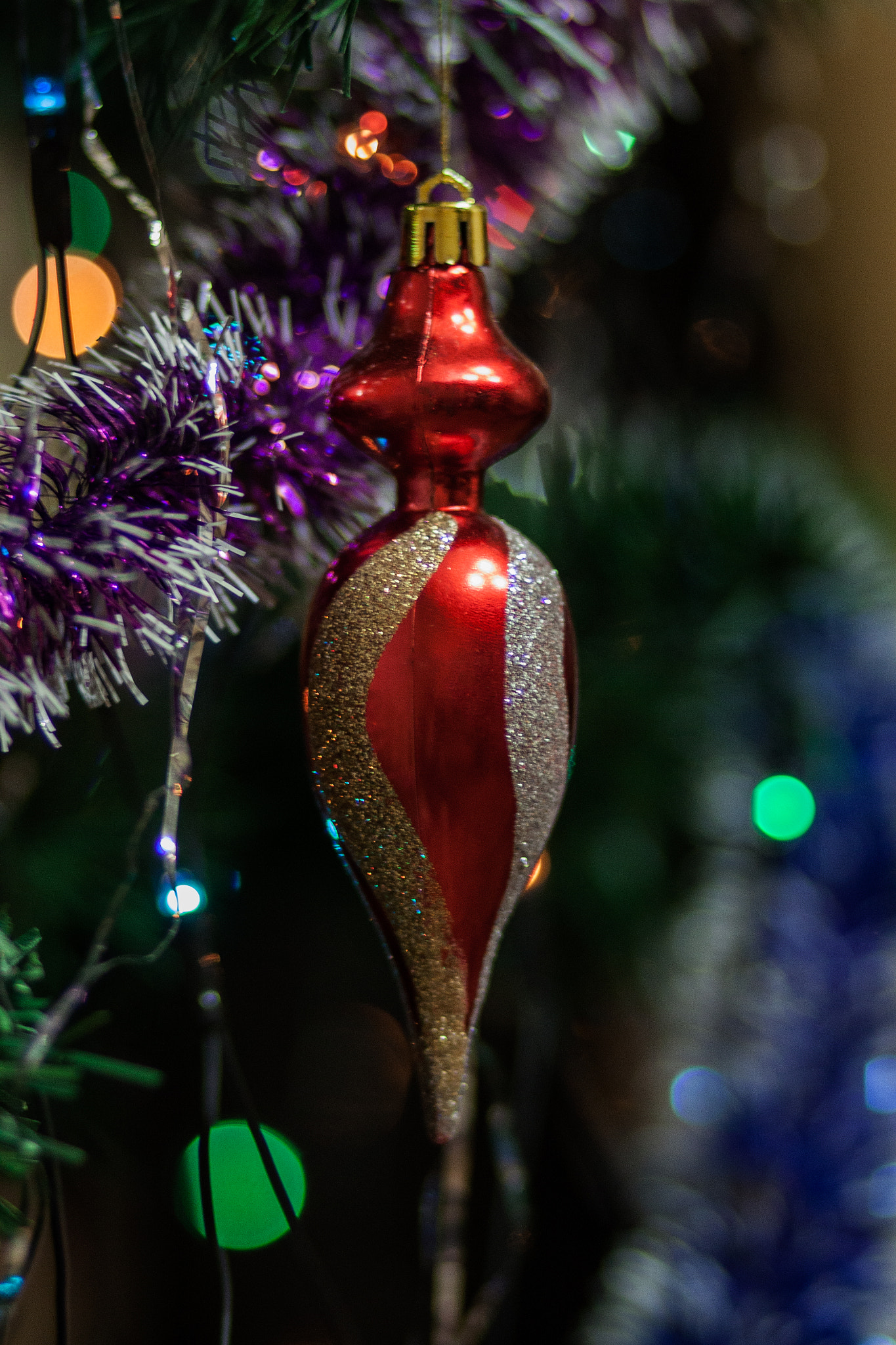Canon EOS 500D (EOS Rebel T1i / EOS Kiss X3) sample photo. ... photography