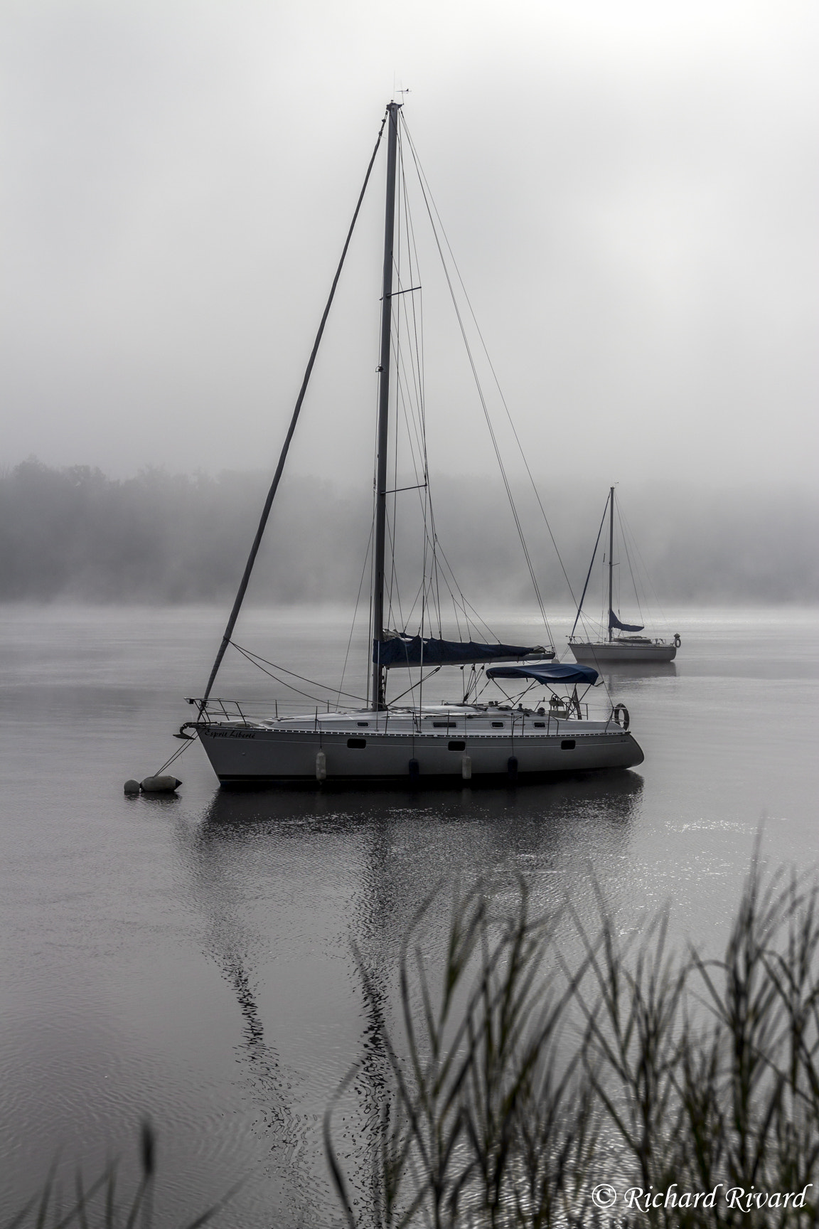 Canon EF 16-35mm F2.8L II USM sample photo. Morning fog photography
