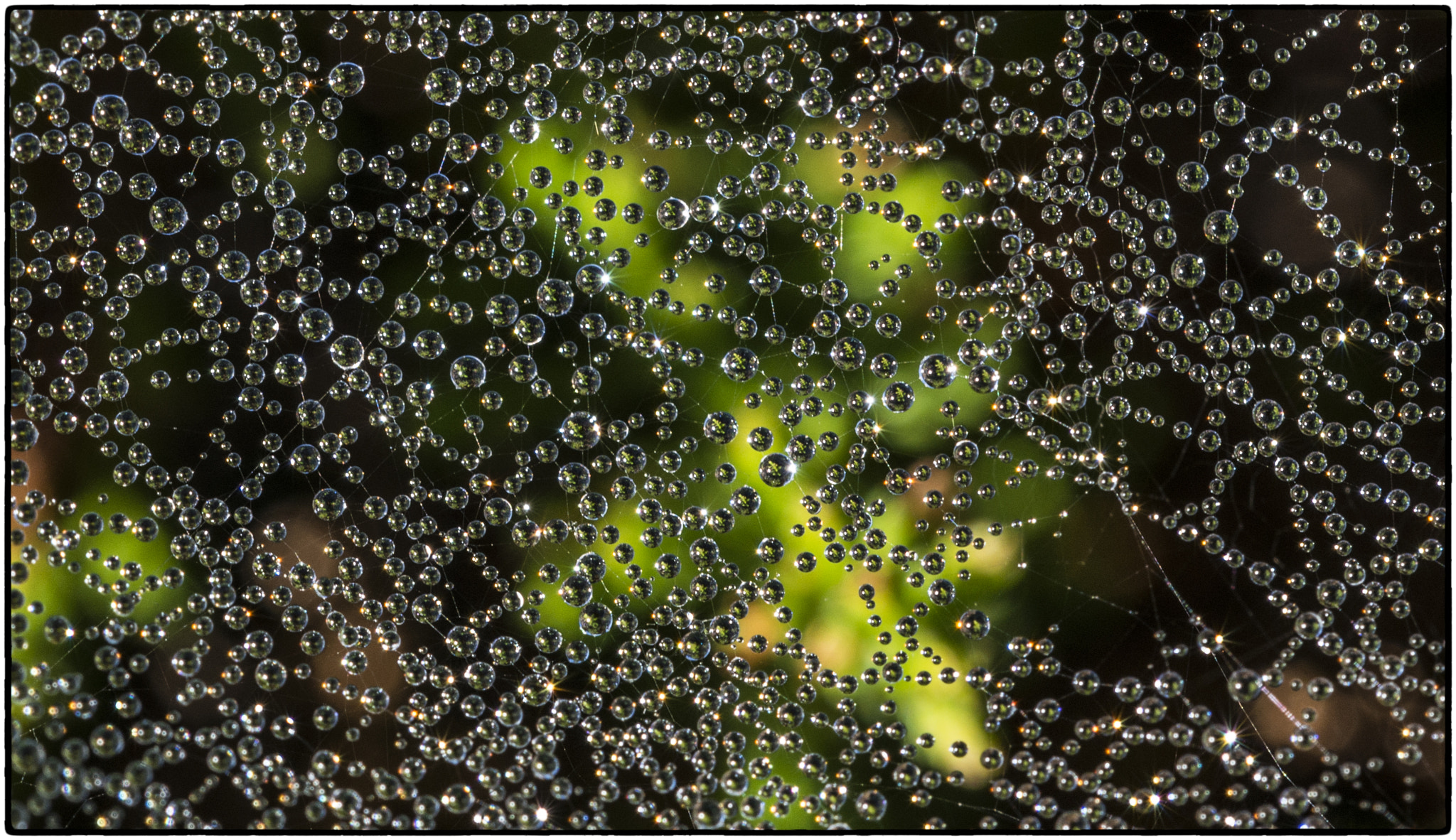 Sigma 150mm F2.8 EX DG OS Macro HSM sample photo. Drops, drops, drops .... photography