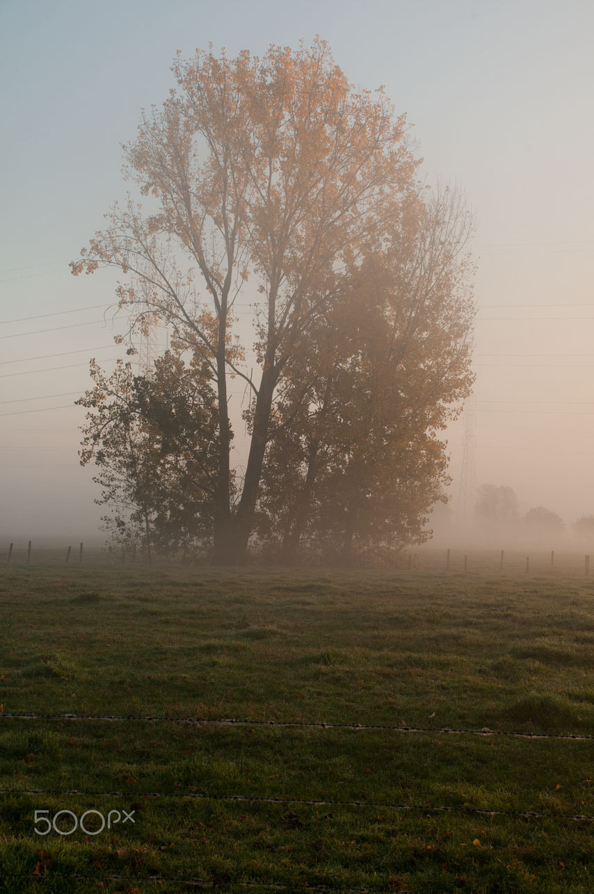 Nikon D300 sample photo. Zulte photography