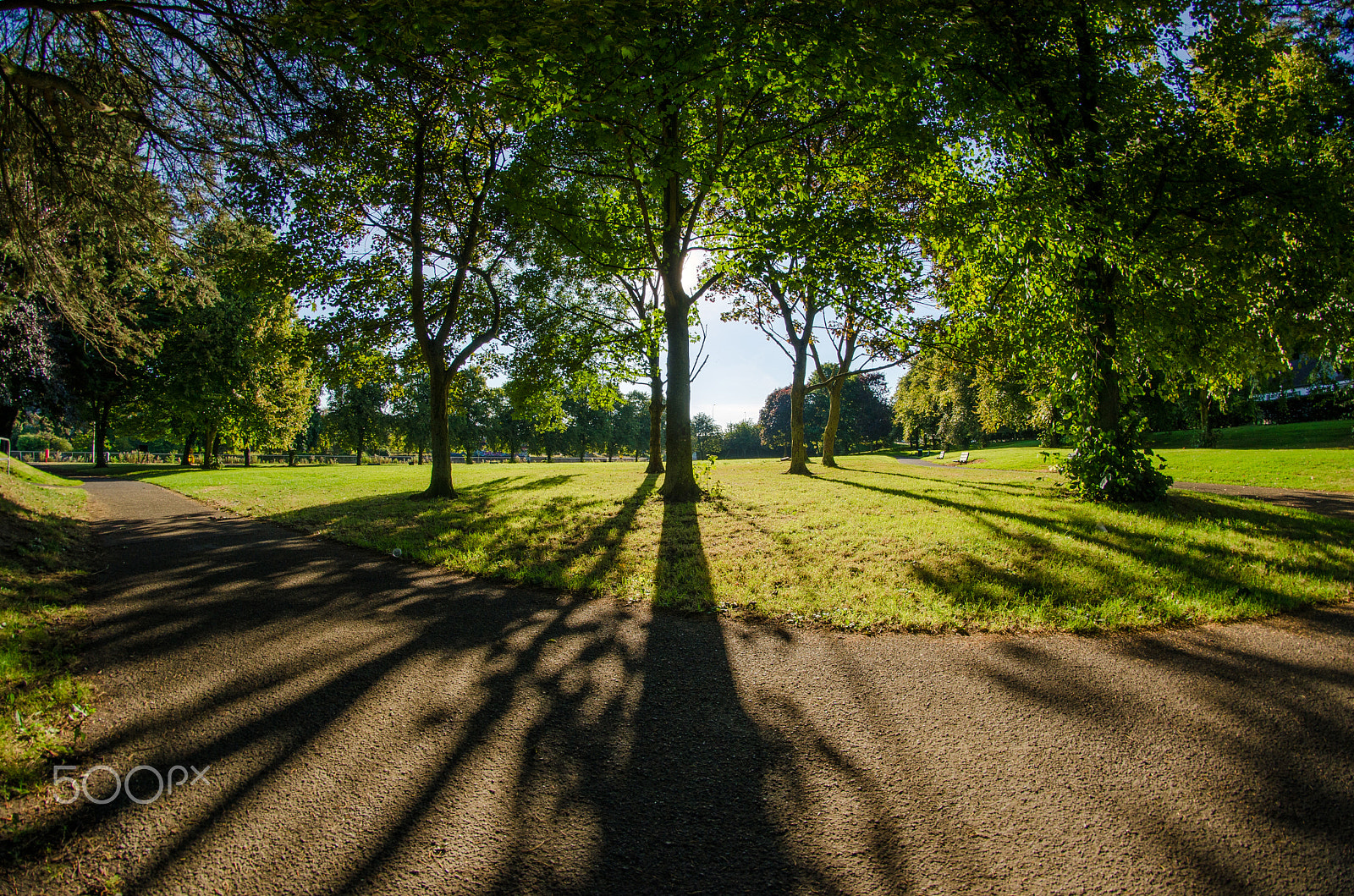 Nikon D7000 + Samyang 8mm F3.5 Aspherical IF MC Fisheye sample photo. Autumn morning in the park photography