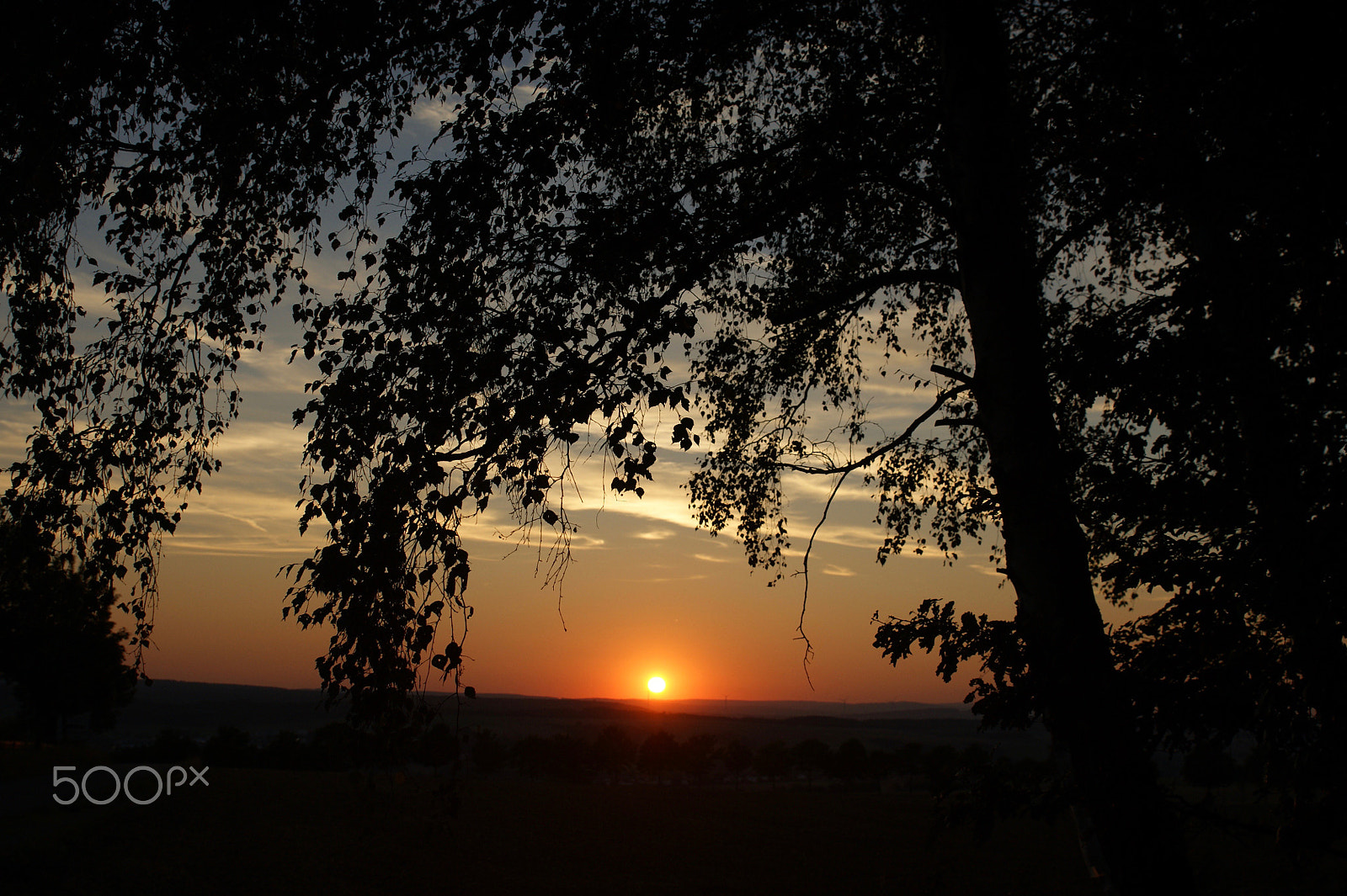 Sony Alpha DSLR-A290 sample photo. Today´s sunset photography
