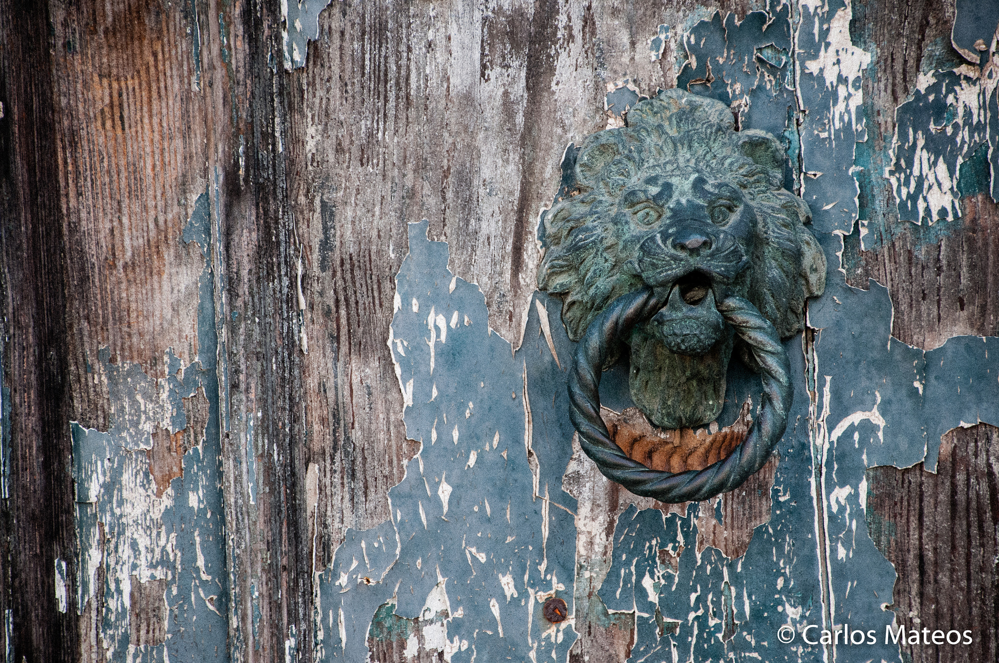 Nikon D300 sample photo. Door bell in venezia photography