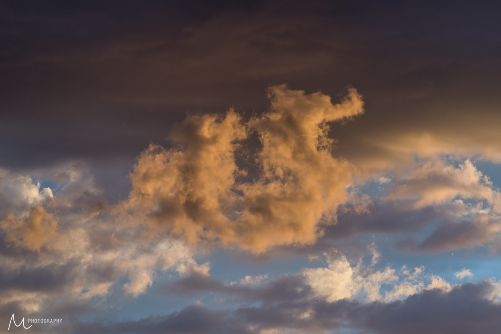 Sigma 28-300mm F3.5-6.3 DG Macro sample photo. The seahorse photography