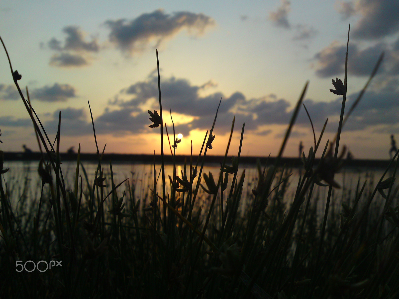 Sony Ericsson C905 sample photo. Calmness photography