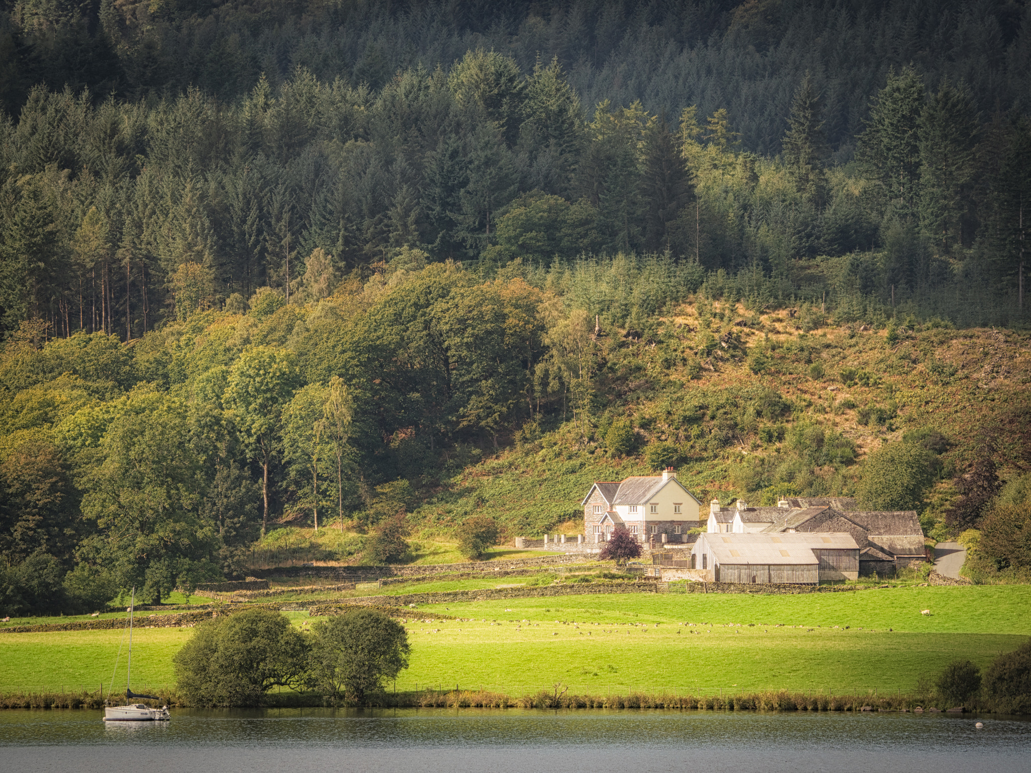 Olympus OM-D E-M5 II sample photo. Low cunsey farm photography