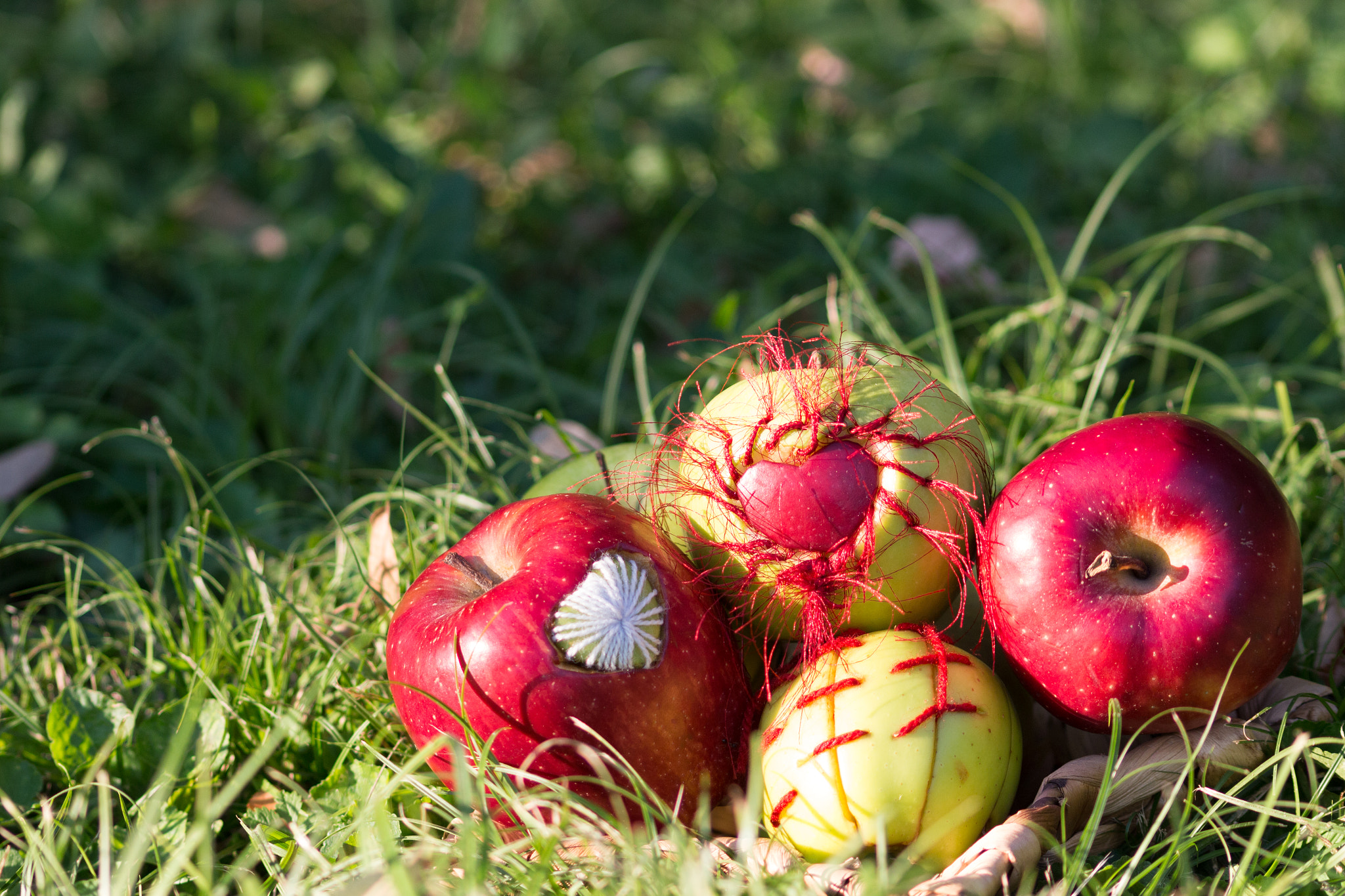 Canon EOS 100D (EOS Rebel SL1 / EOS Kiss X7) + Sigma 50-200mm F4-5.6 DC OS HSM sample photo. Sewn apples (mere cusute) photography