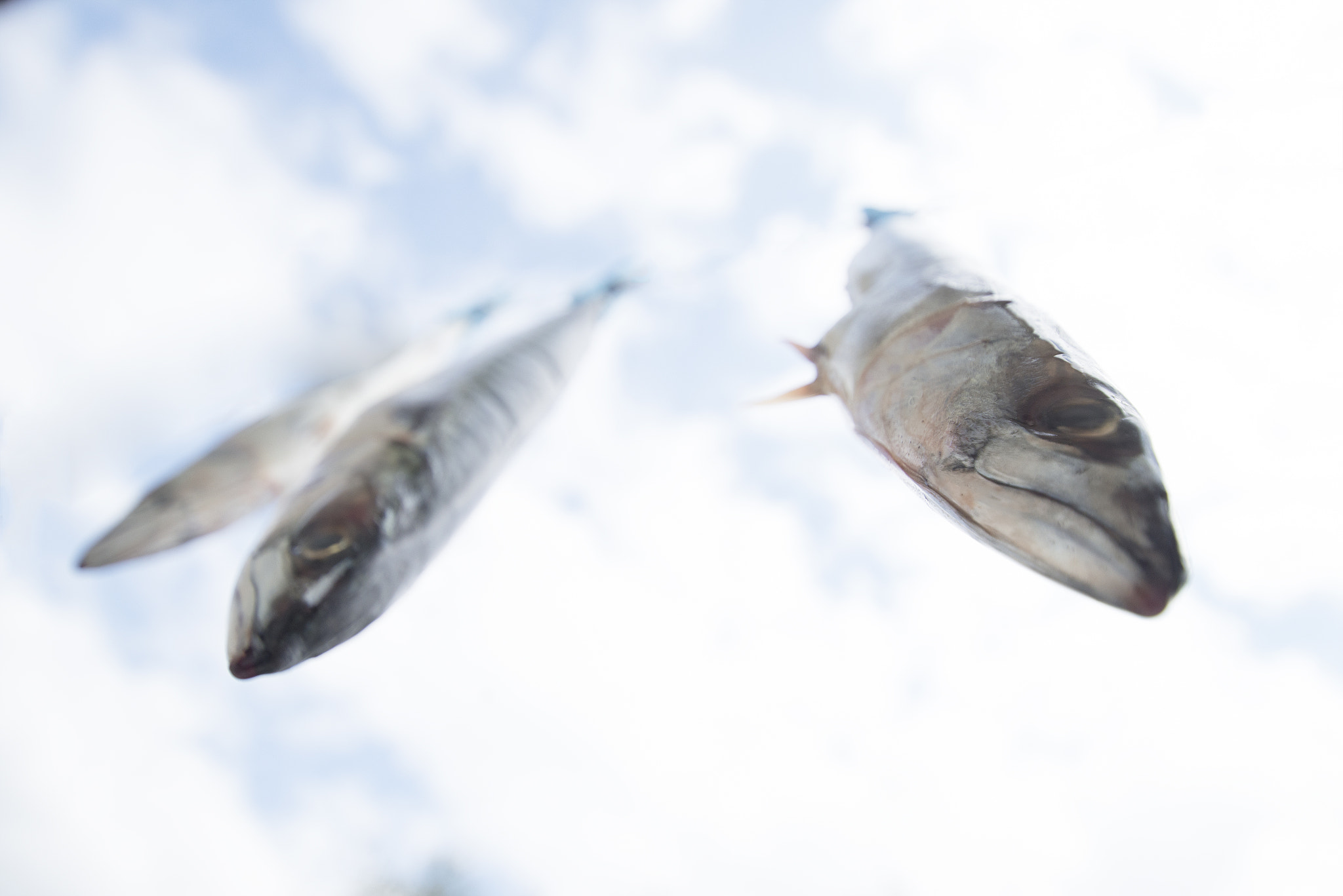 Nikon D800E sample photo. Voyage - 2 photography