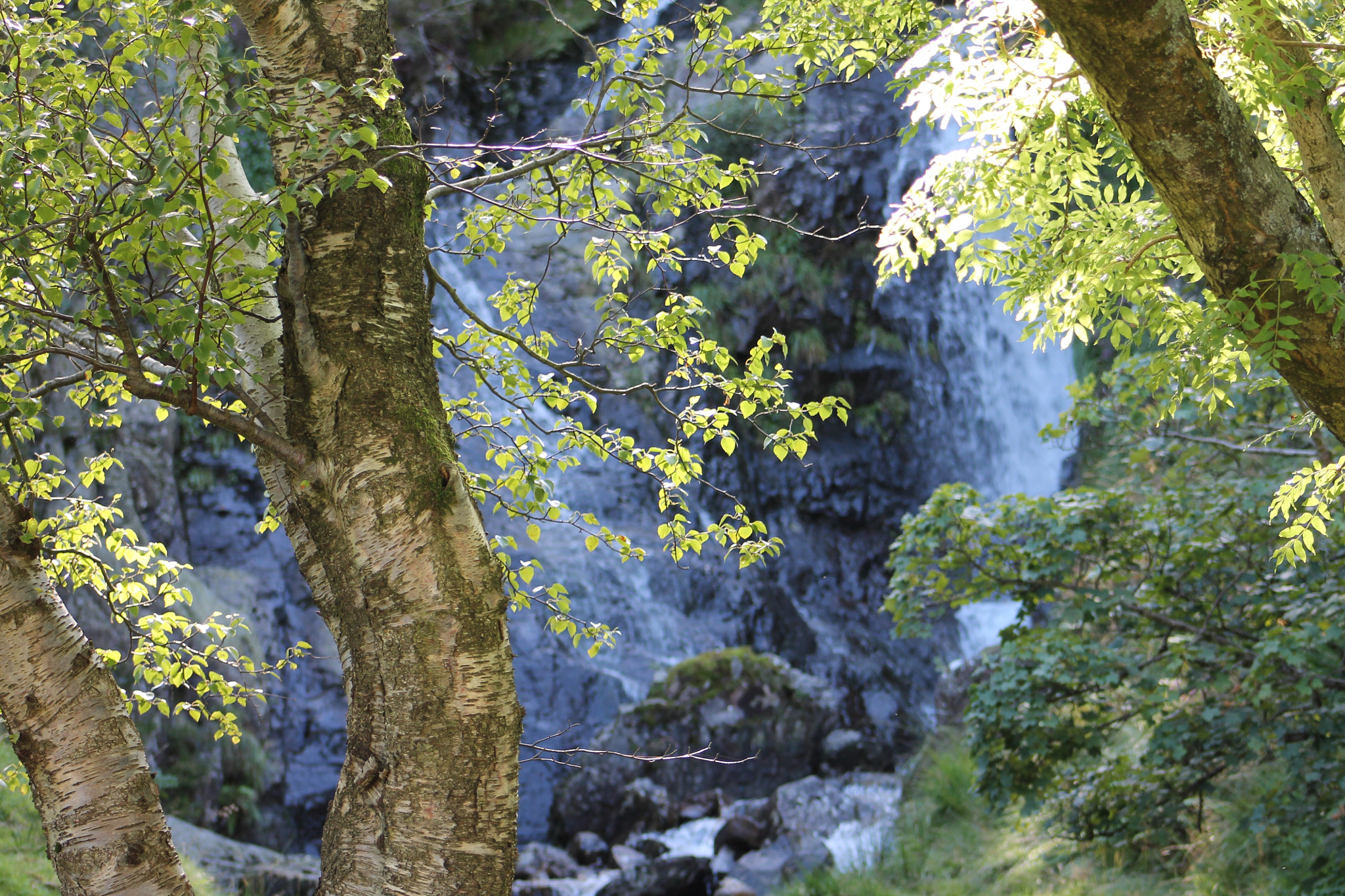 Canon EF75-300mm f/4-5.6 sample photo. Waterfall ahead glimpsed through the trees photography