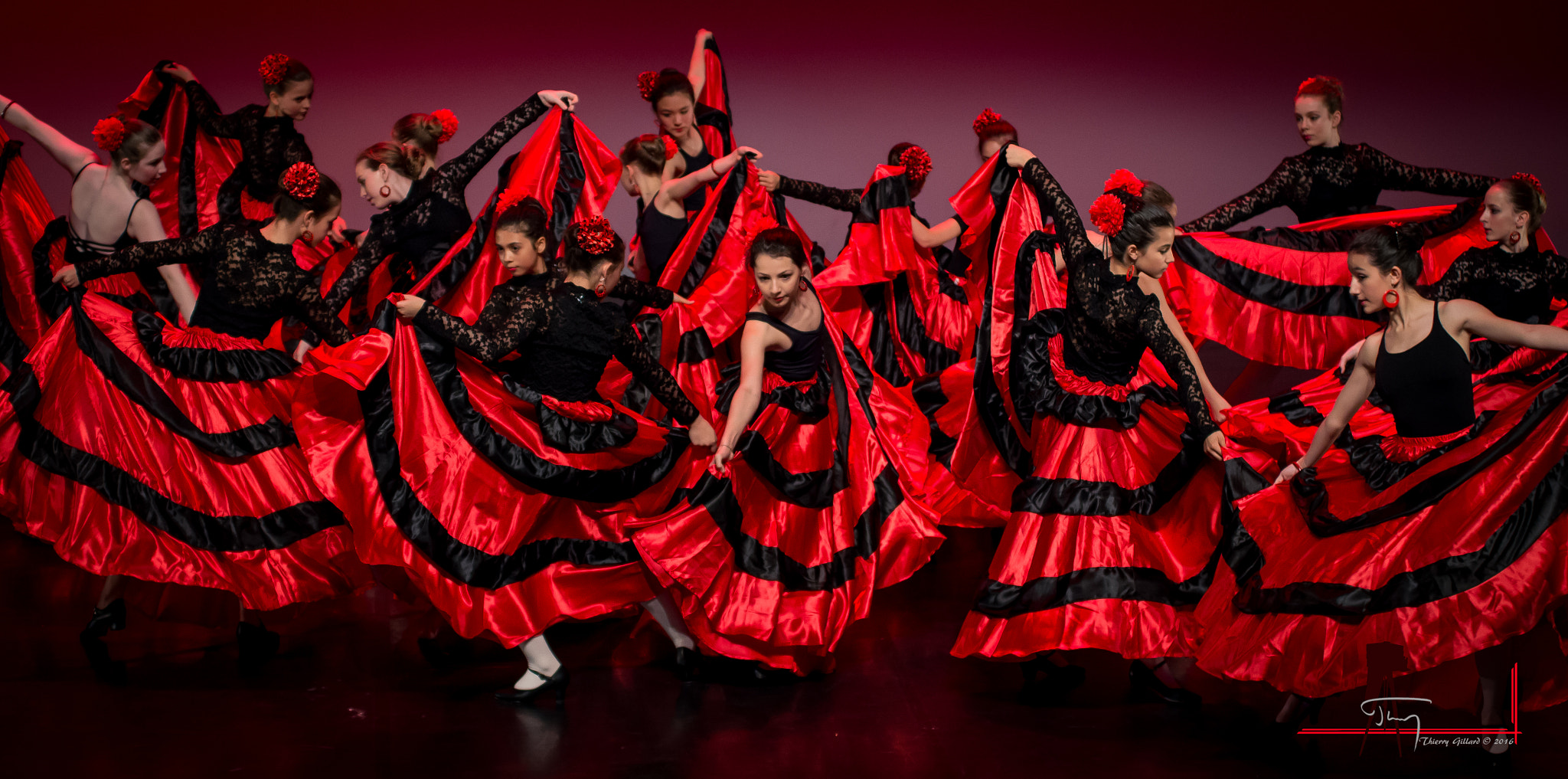 Pentax K-5 IIs sample photo. Flamenco photography