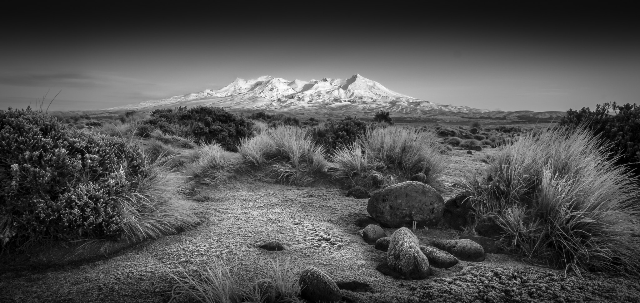 Sigma 10-20mm F3.5 EX DC HSM sample photo. Tussock frost photography