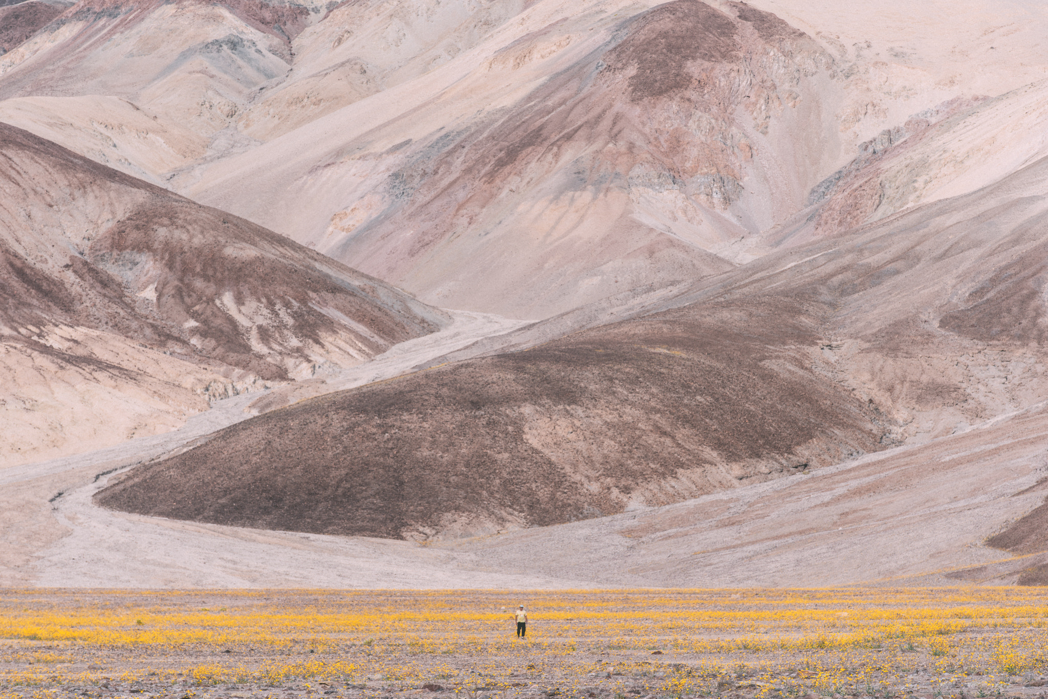 Canon EF 70-200mm F2.8L IS II USM sample photo. Death valley superbloom photography