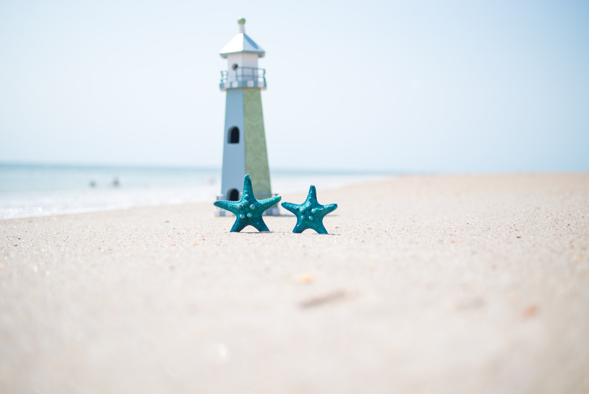 Nikon 1 V1 sample photo. Blue starfish photography