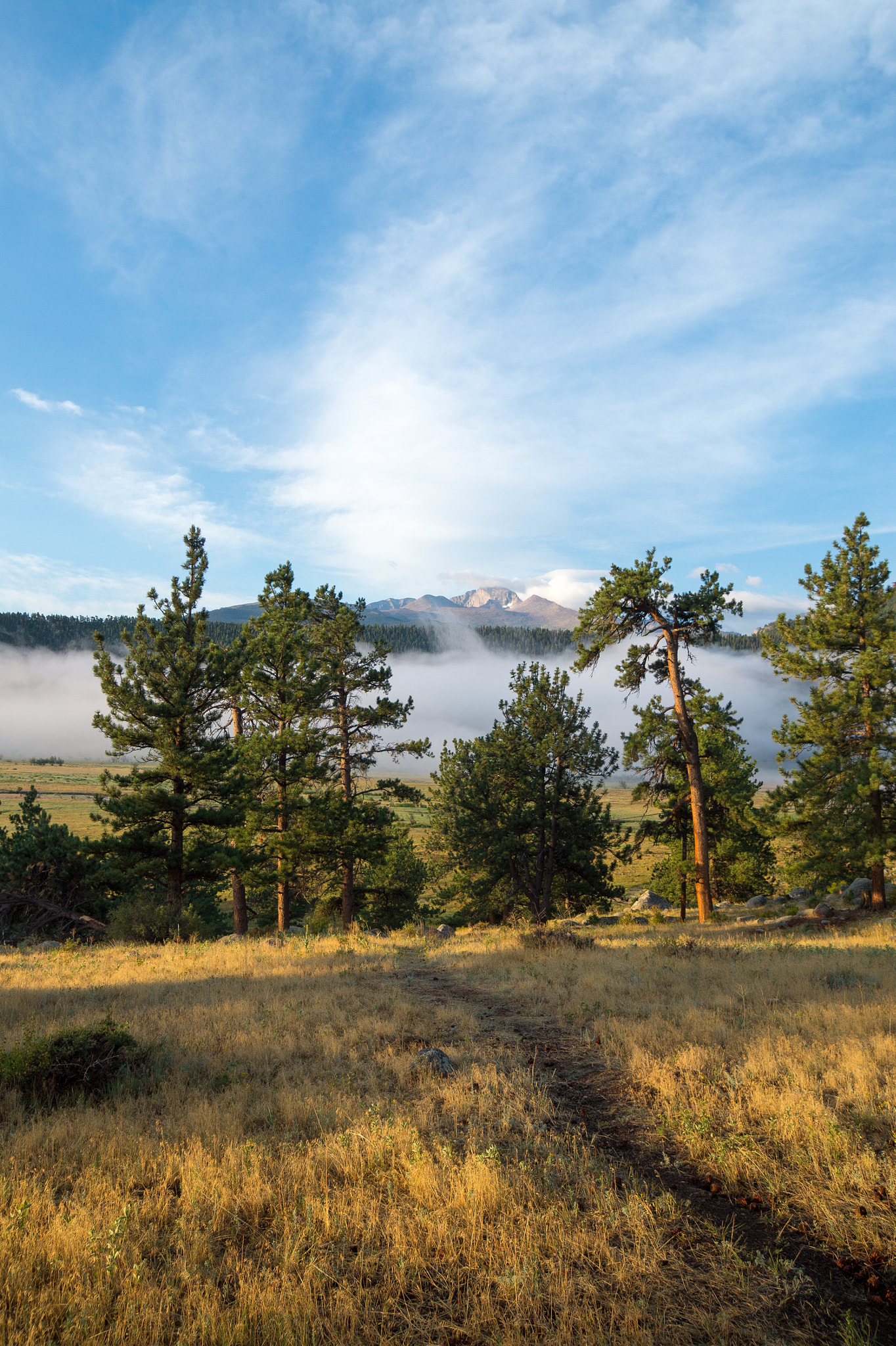 Sony SLT-A58 sample photo. Rmnp longs peak photography