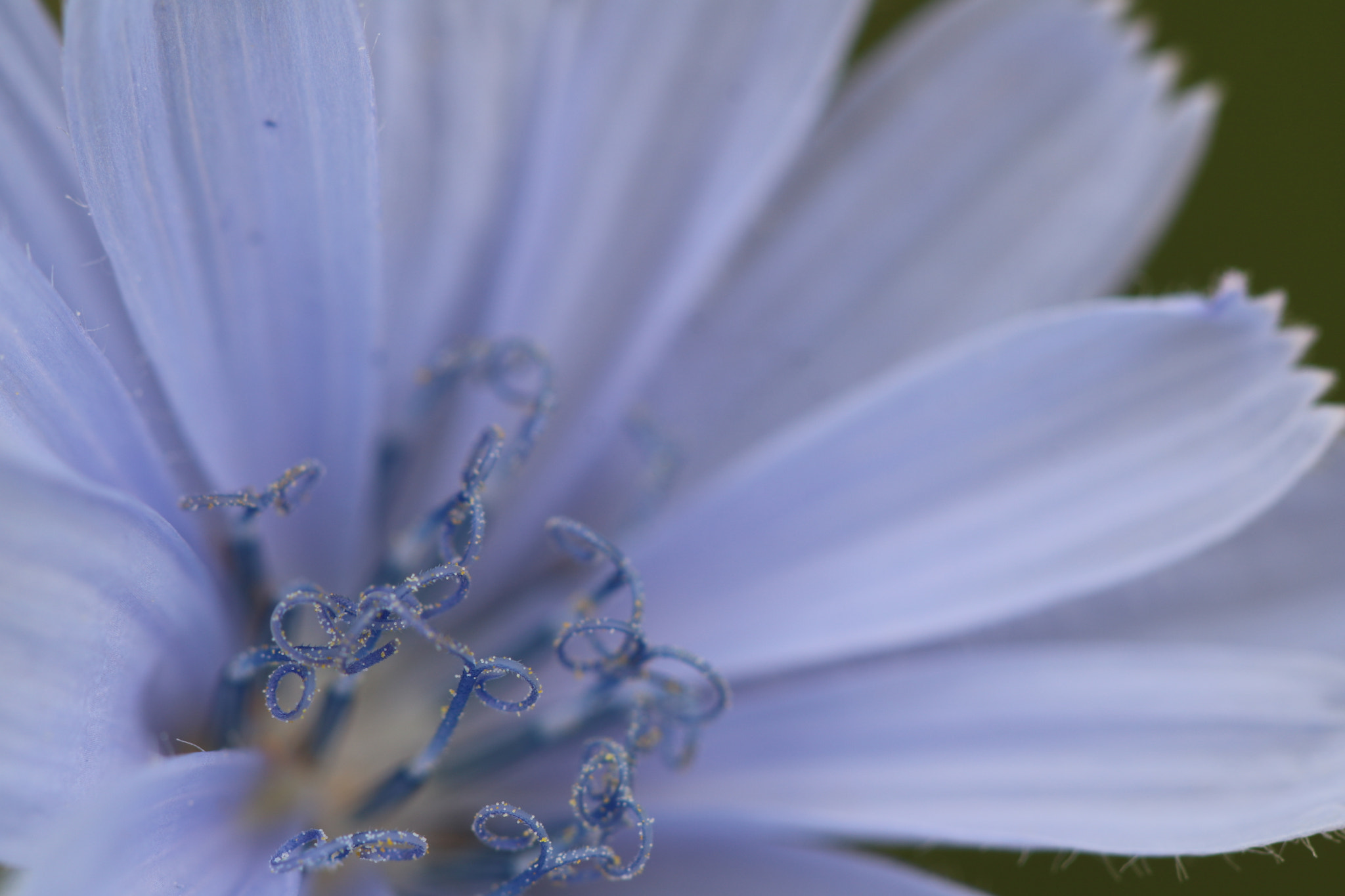 Canon EOS 760D (EOS Rebel T6s / EOS 8000D) sample photo. Magic fairy dust photography