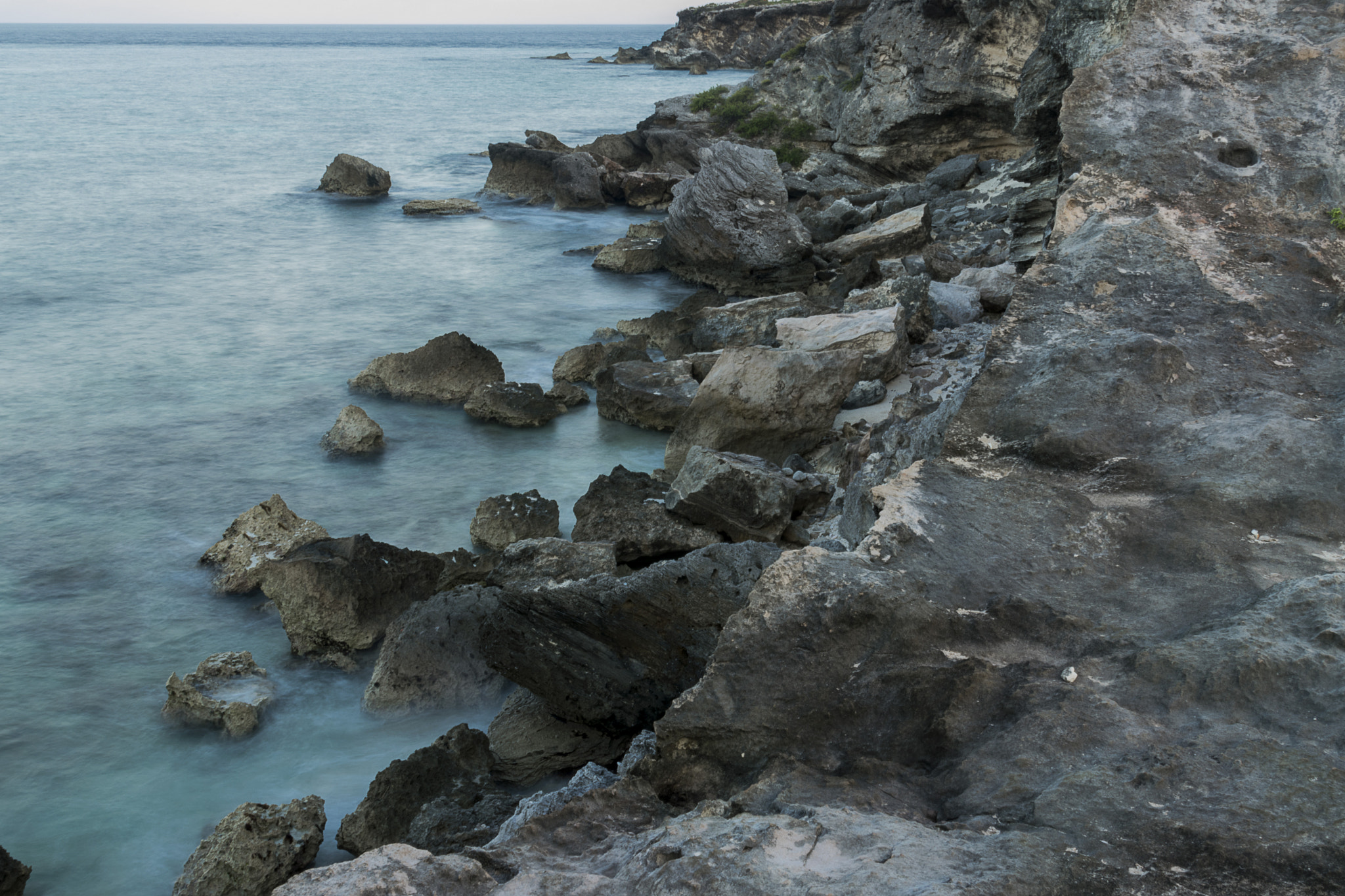 Nikon AF-S Nikkor 24-120mm F4G ED VR sample photo. Force photography