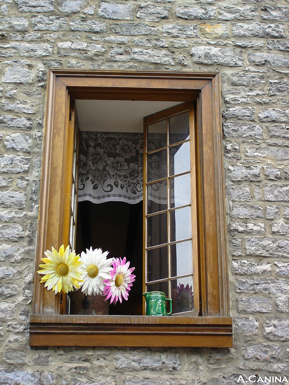 Sony DSC-W1 sample photo. Flowers at window photography