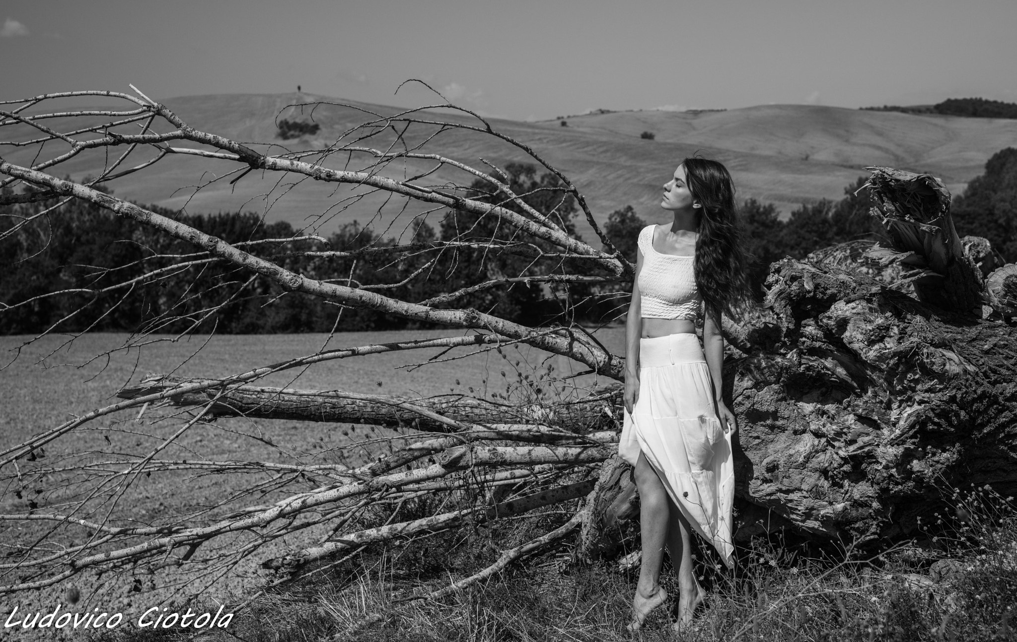 Nikon D800E + Sigma 50mm F1.4 DG HSM Art sample photo. Clair tess photography