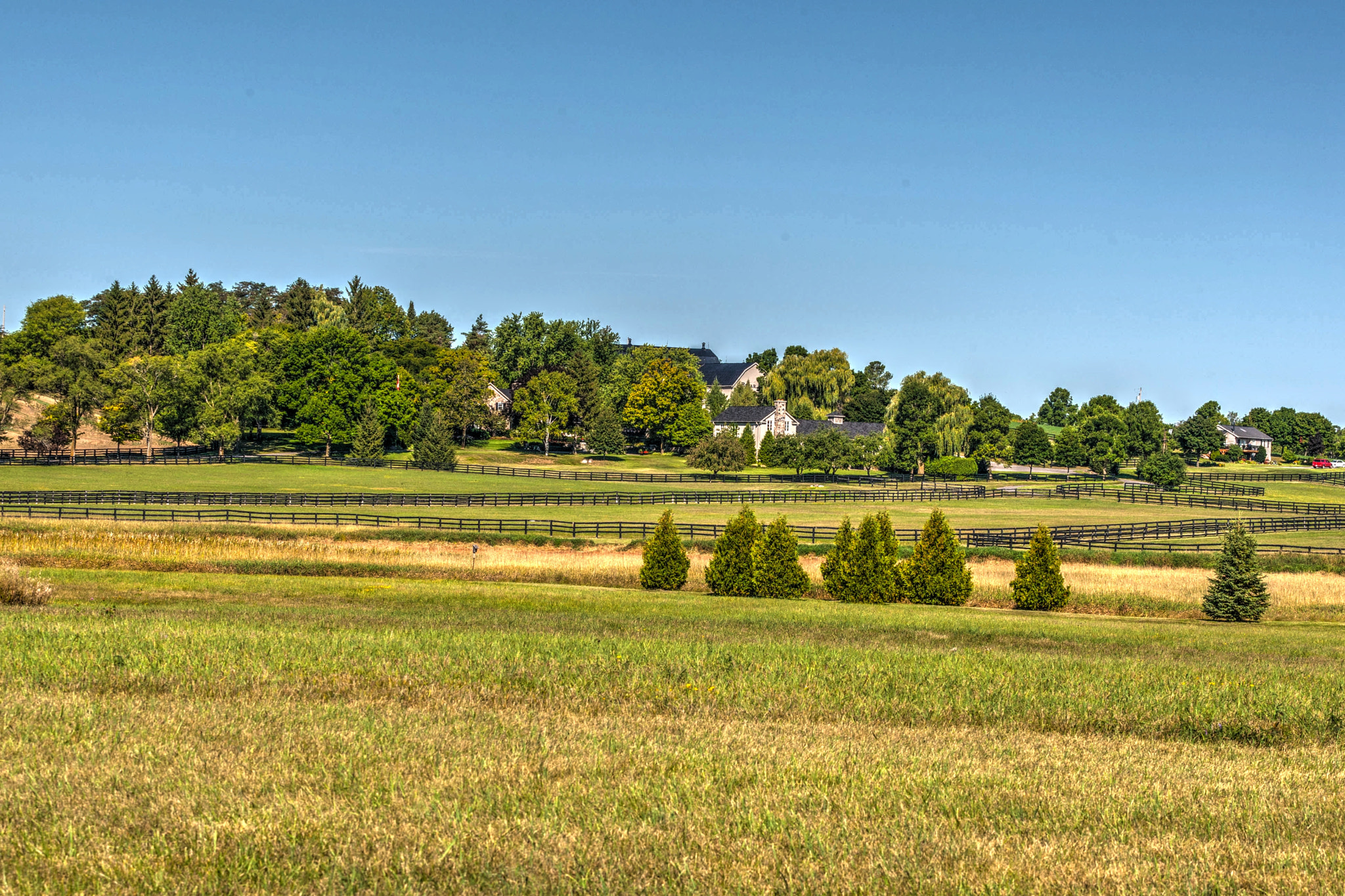 Canon EOS-1D Mark III sample photo. Michael landon's home photography