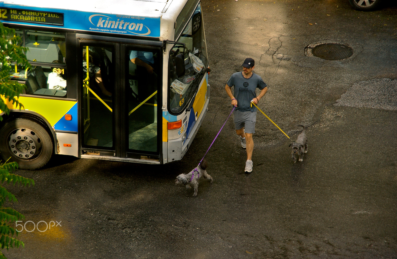 Pentax K10D sample photo. Doggy walking ... photography