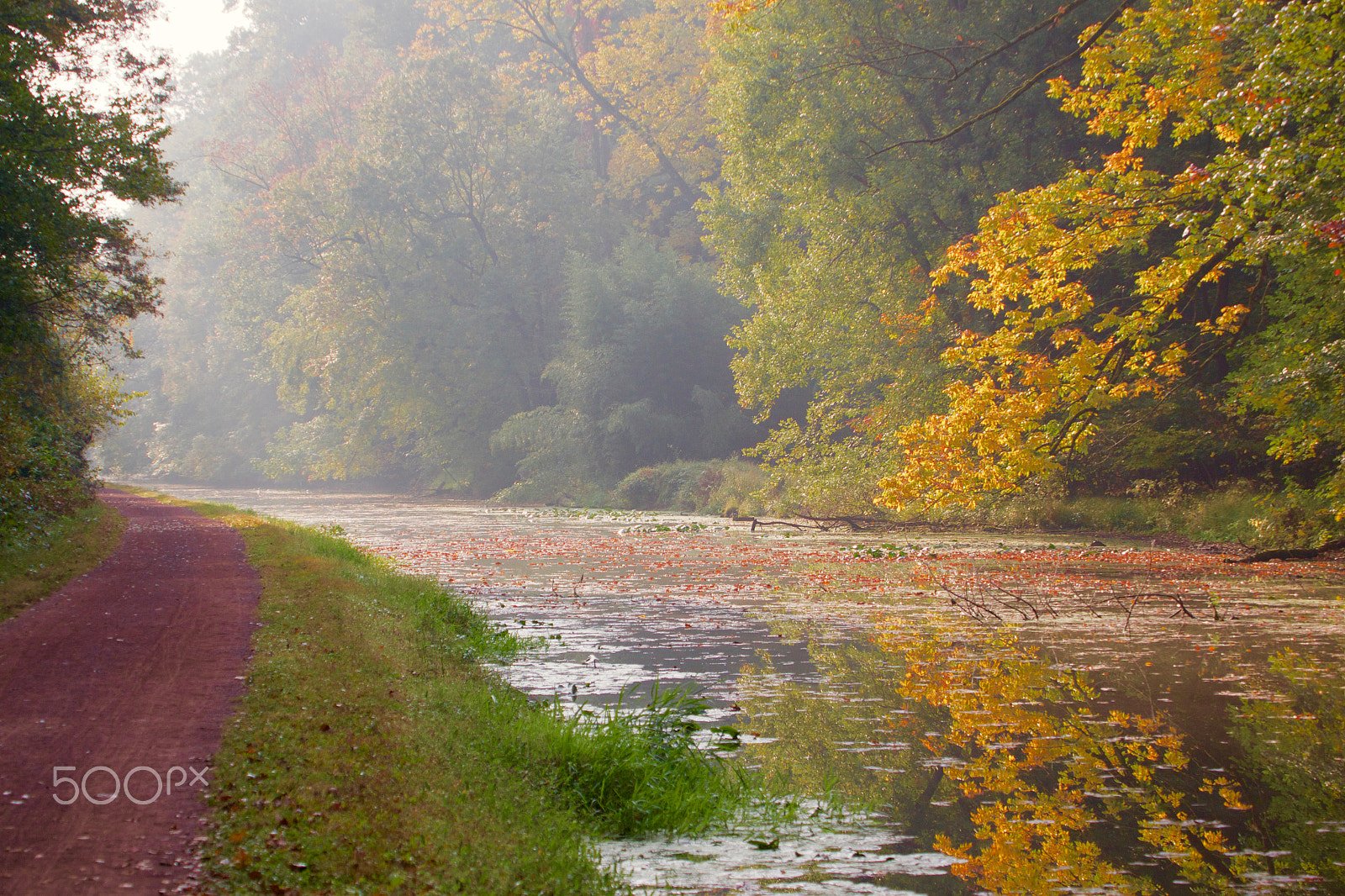 Canon EOS 50D sample photo. Misty fall morning photography