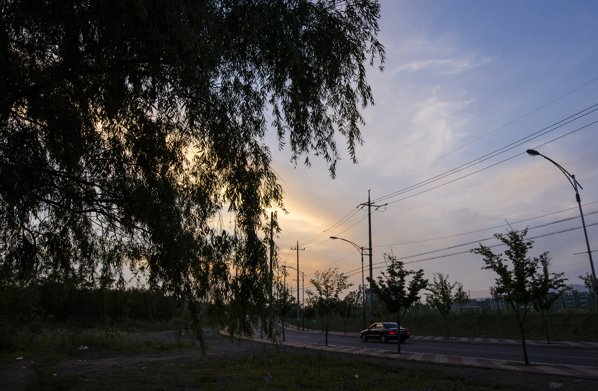 Nikon AF-S Nikkor 14-24mm F2.8G ED sample photo. Way back home photography