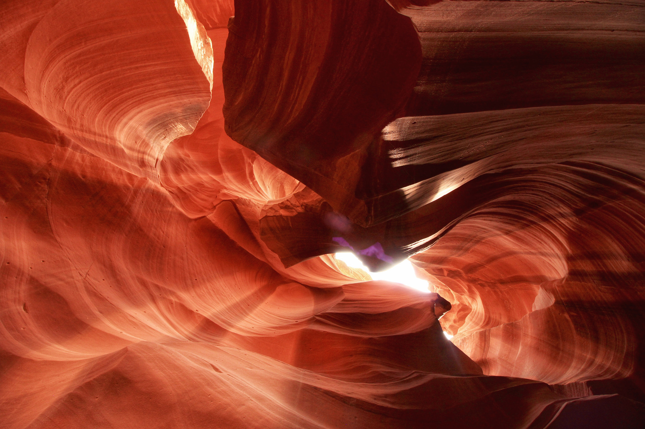 Canon EF-S 10-18mm F4.5–5.6 IS STM sample photo. Looking up standing in the canyon to see this subl ... photography