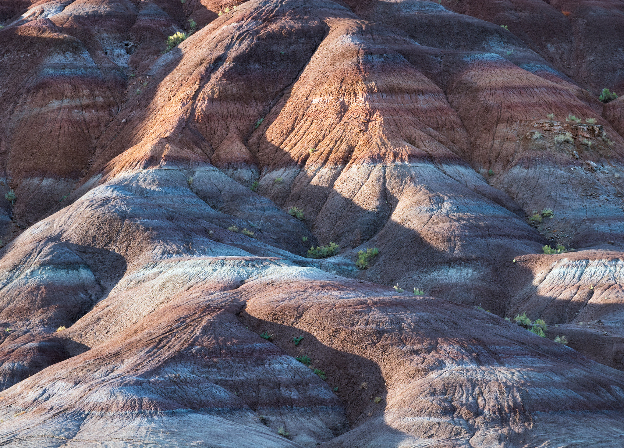 Nikon AF-S Nikkor 24-120mm F4G ED VR sample photo. Bentonite wasteland photography