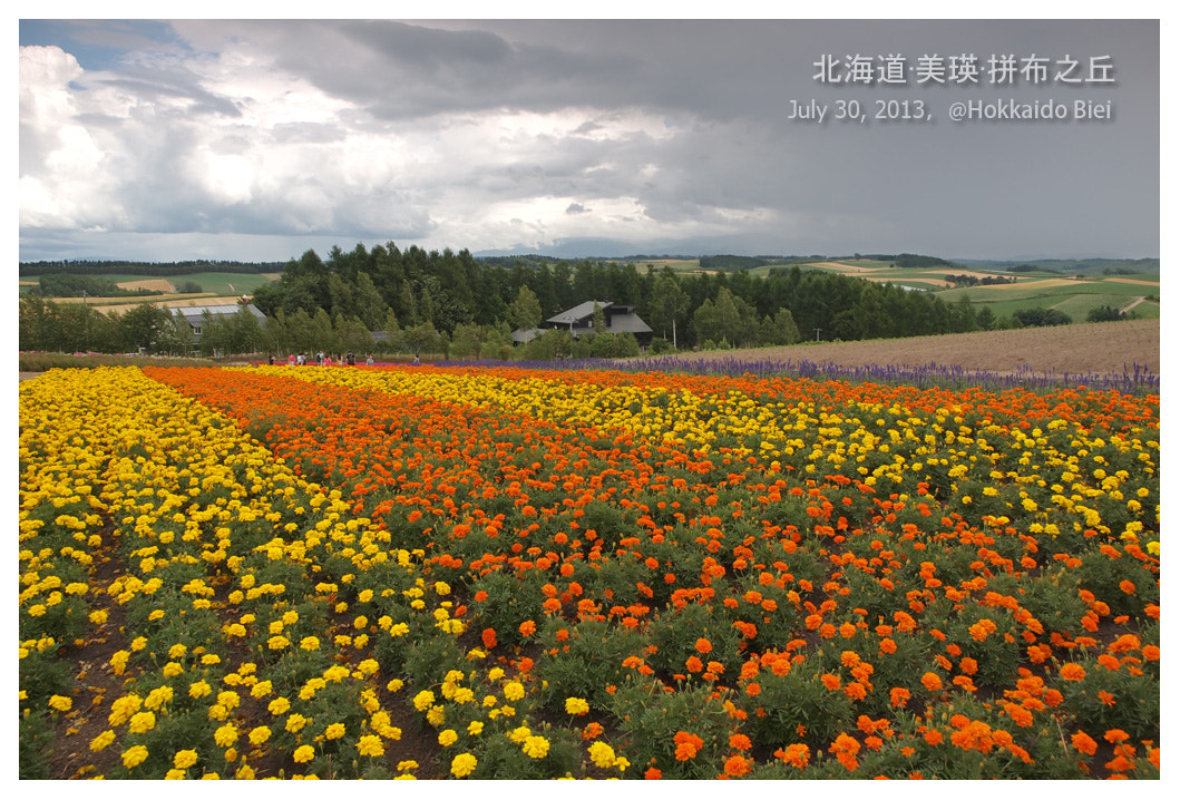 Olympus Zuiko Digital ED 12-60mm F2.8-4.0 SWD sample photo. Hokkaido, japan photography