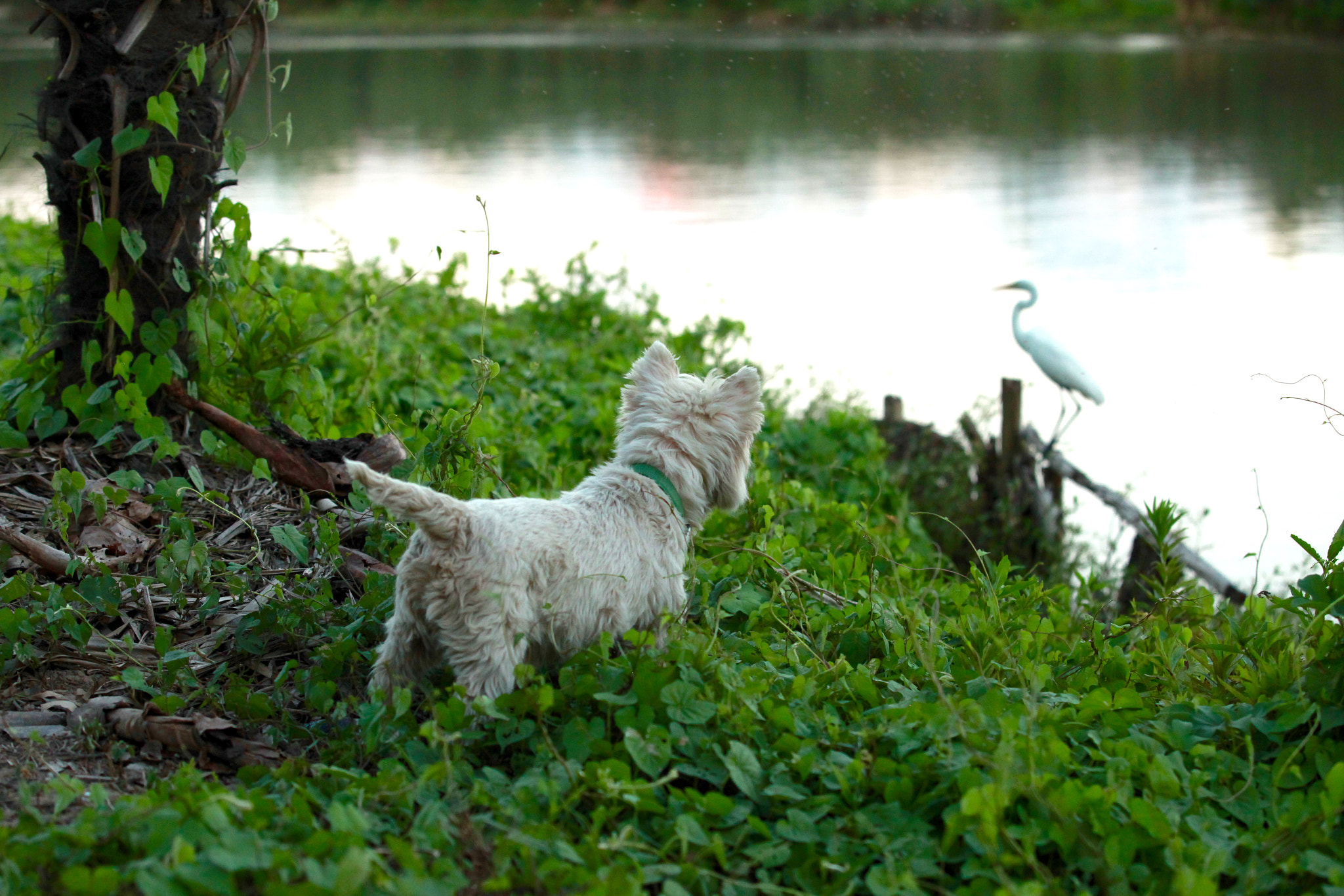 Canon EF 70-200mm F2.8L IS II USM sample photo