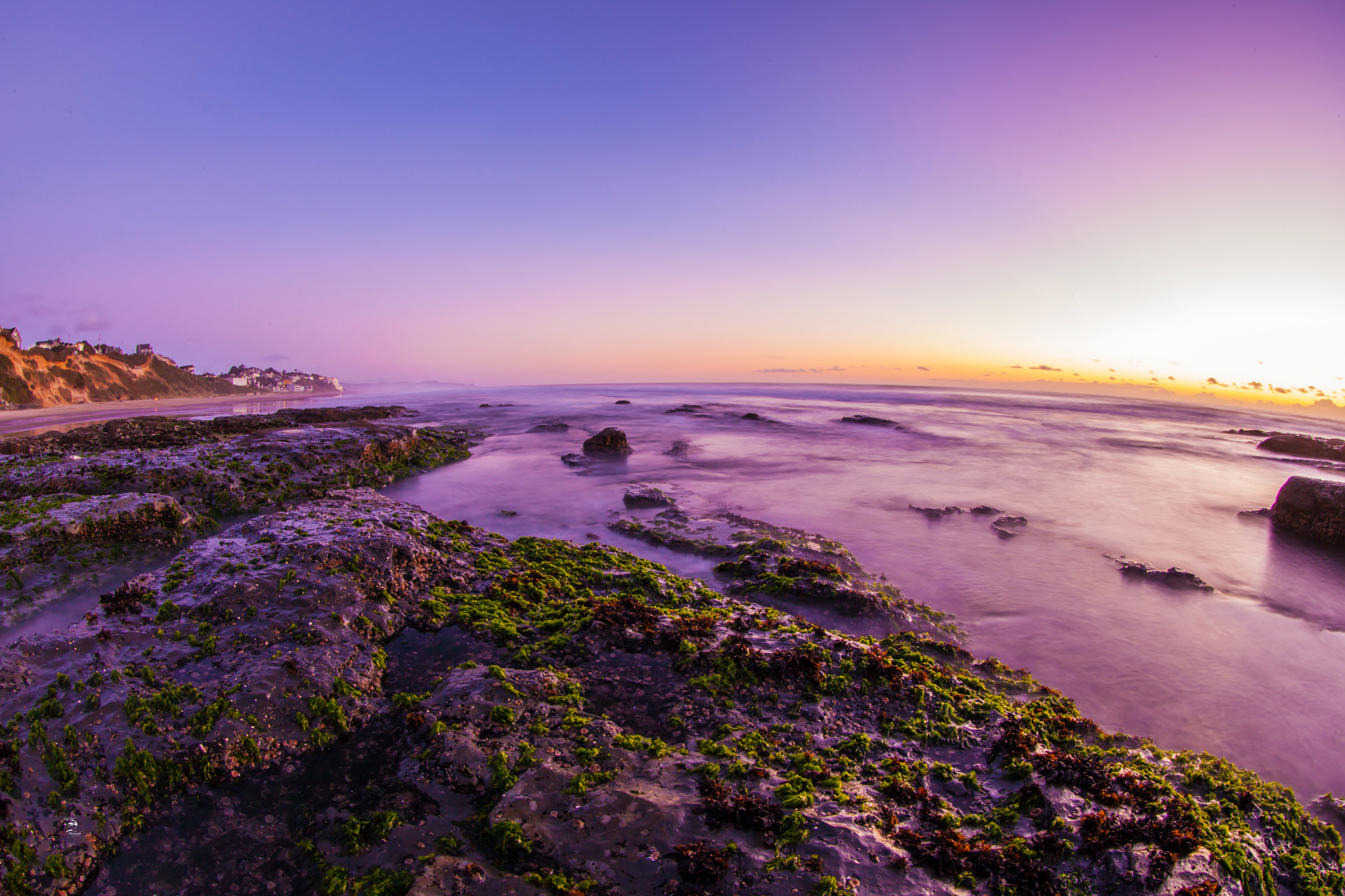 Canon EF 8-15mm F4L Fisheye USM sample photo. Lincoln city beach purp photography