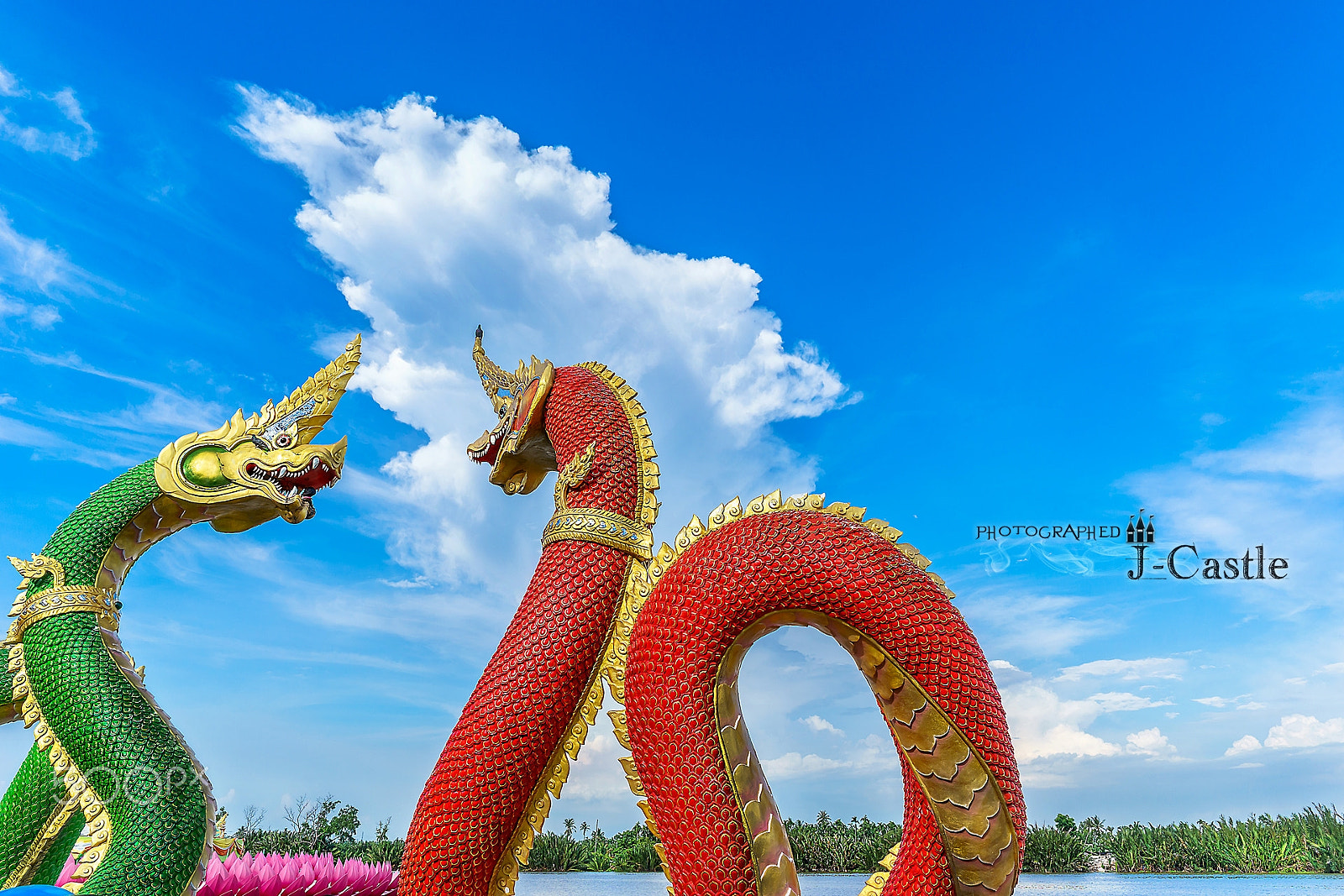 ZEISS Batis 25mm F2 sample photo. Double dragon photography