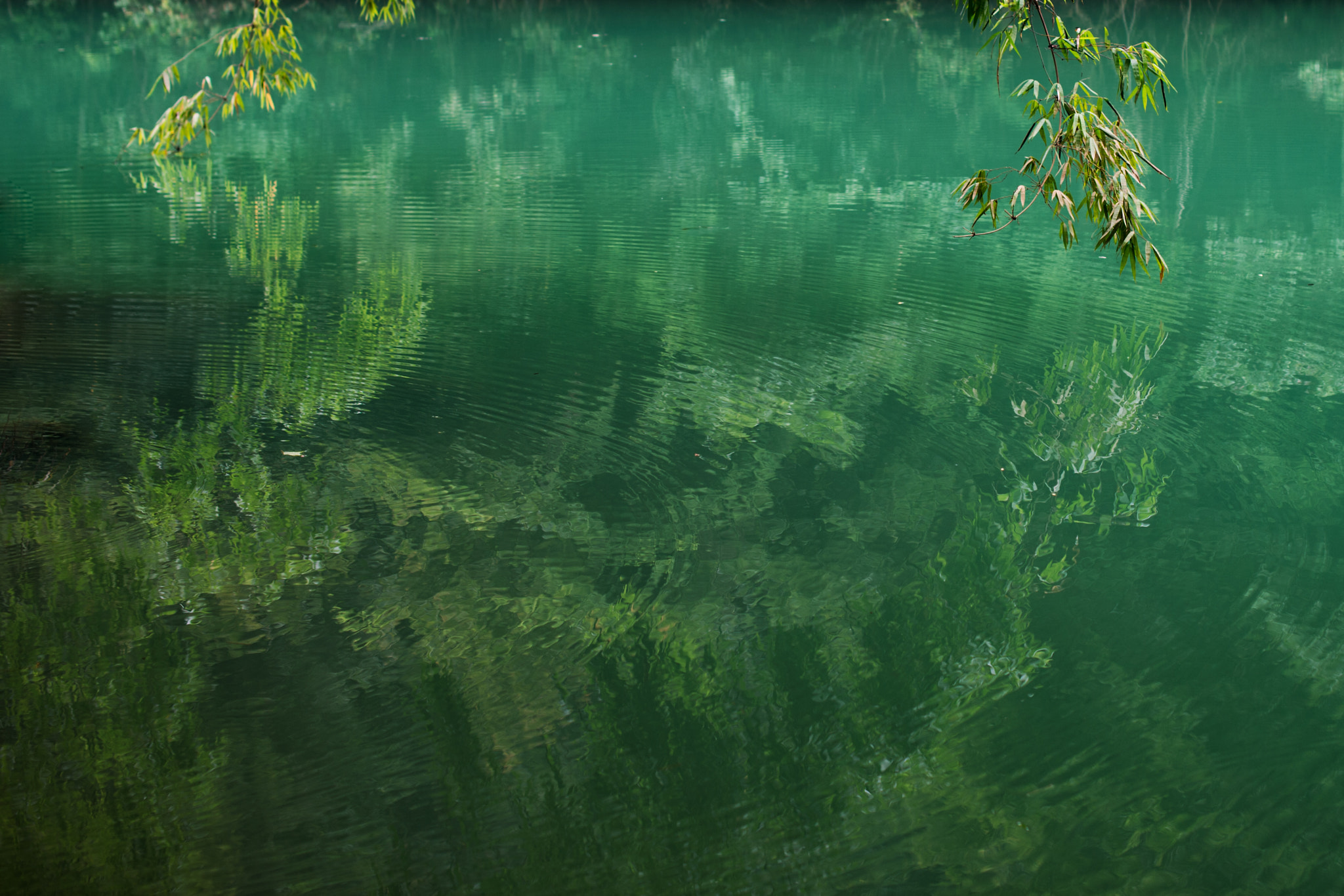 Nikon Df sample photo. Peaceful water photography