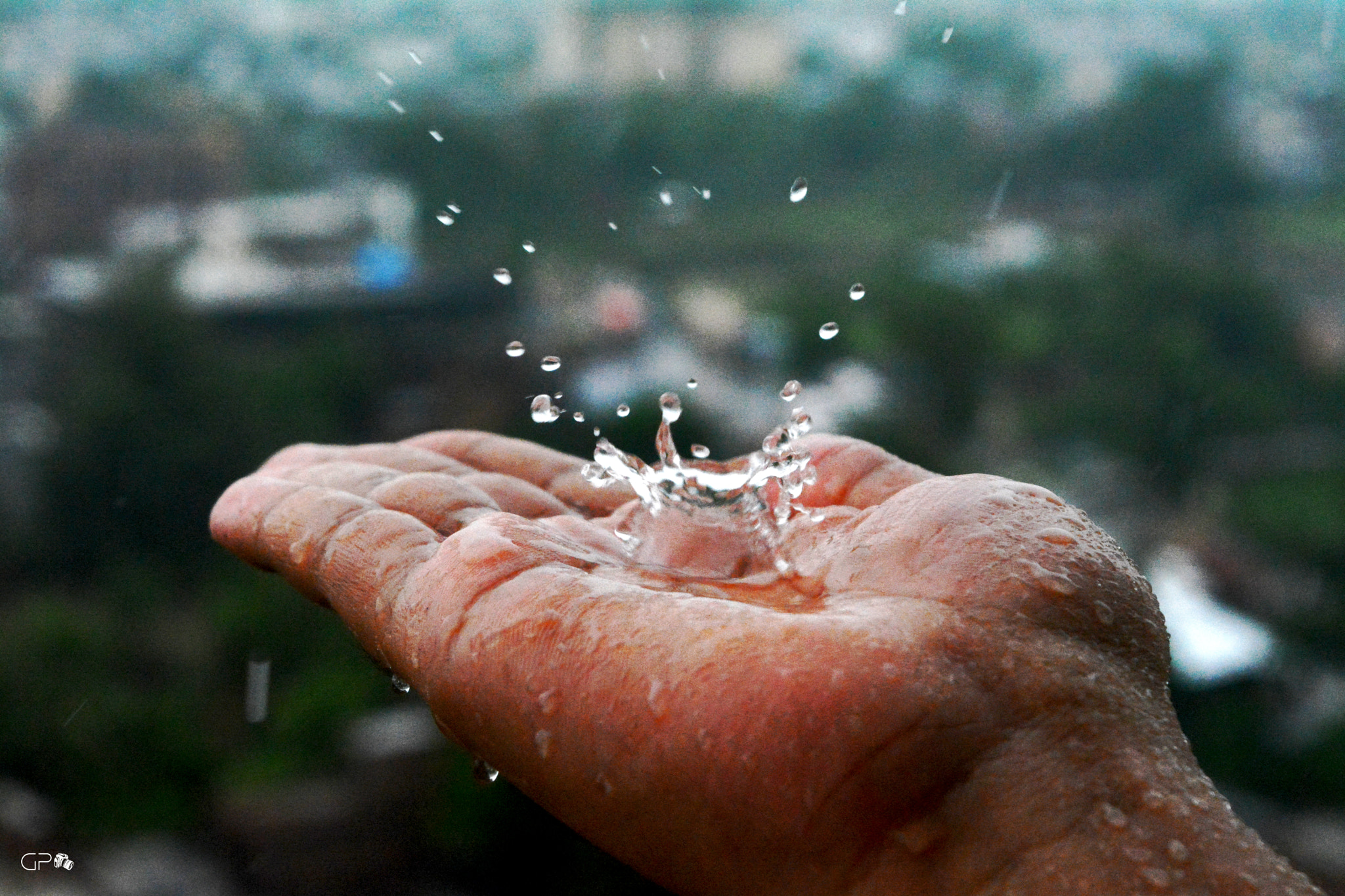 Nikkor 500mm f/4 P ED IF sample photo. Rain splash photography