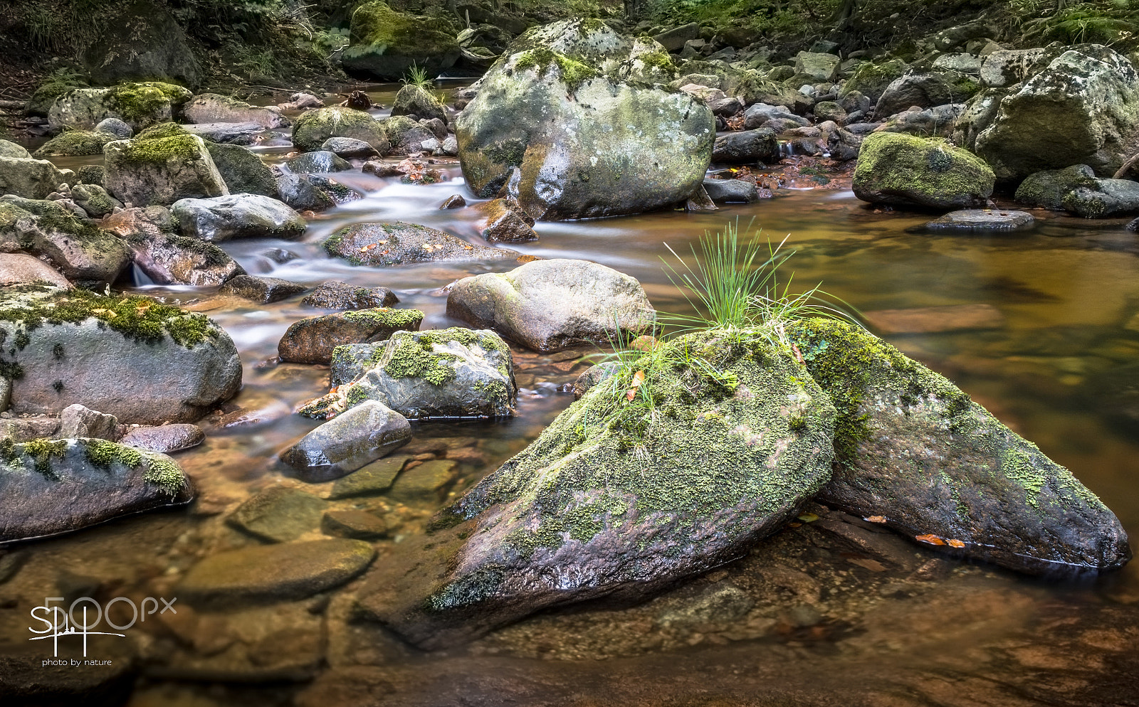 Sigma 18-50mm F2.8-4.5 DC OS HSM sample photo. The stone in harz photography
