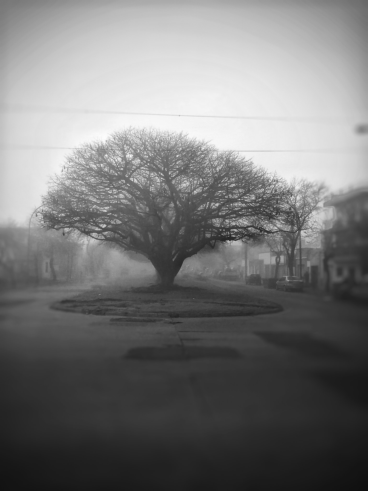 LG LEON 4G LTE sample photo. Solitude dry photography