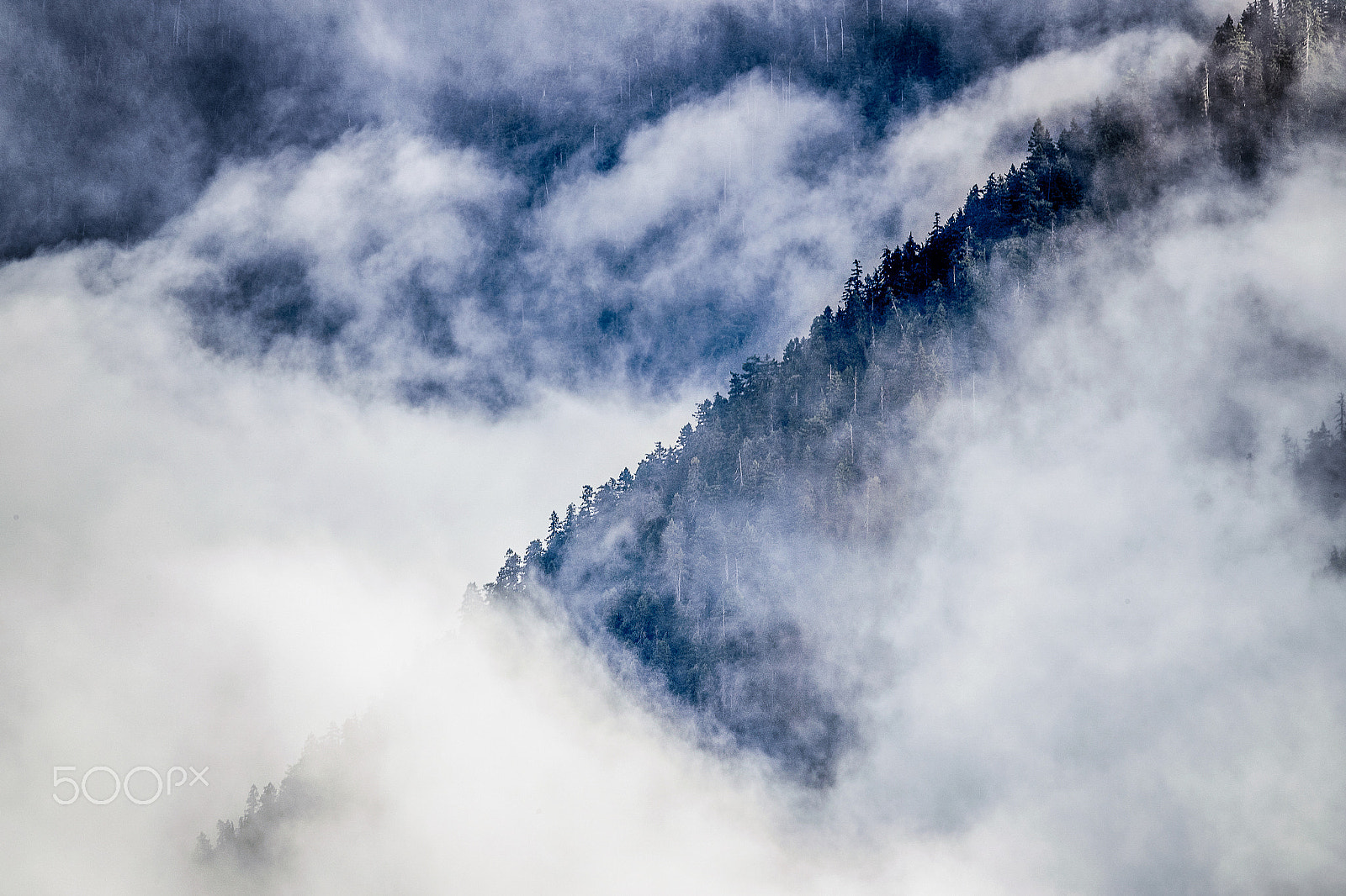 Canon EF 300mm F2.8L IS II USM sample photo. Tree line photography