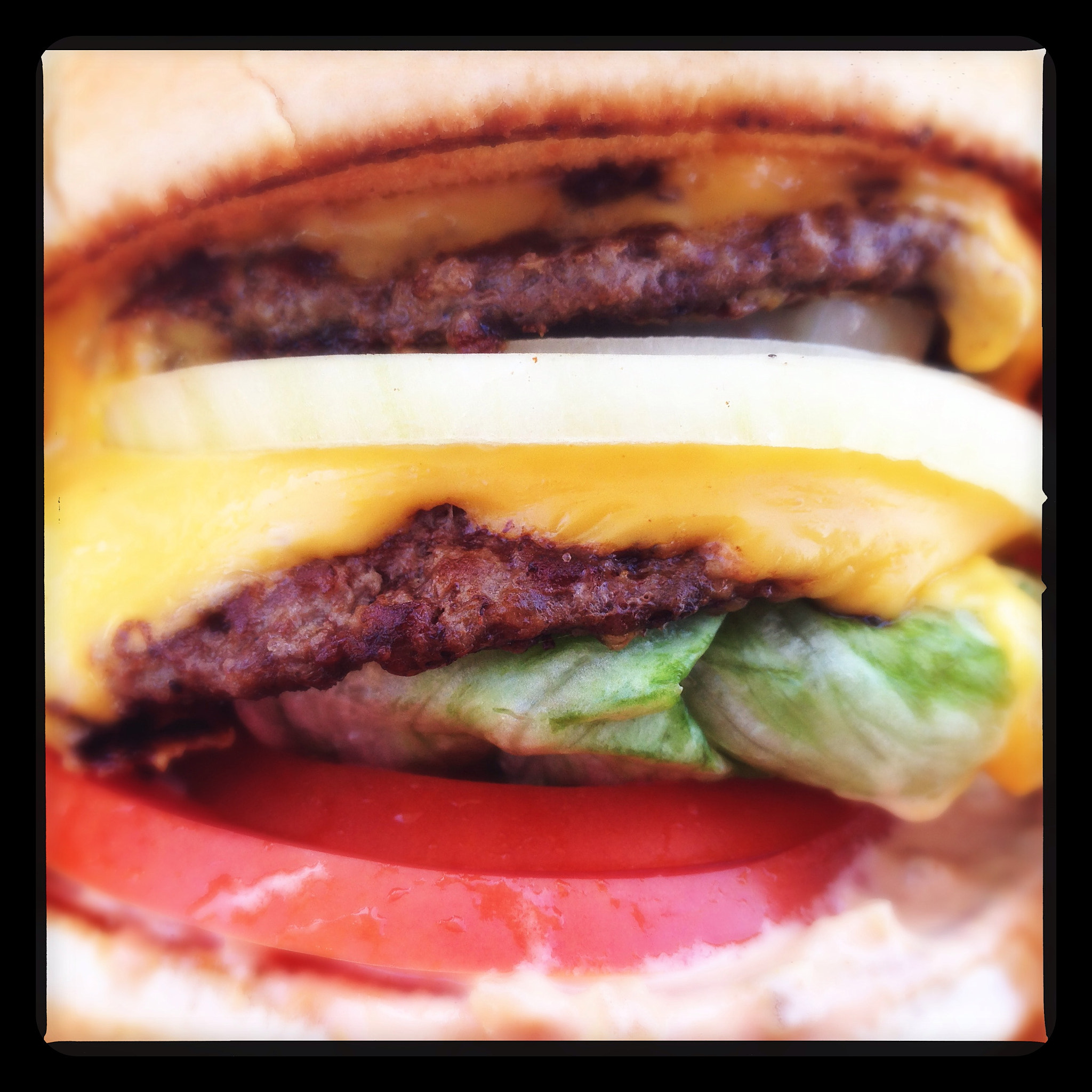 Hipstamatic 273 sample photo. @inandoutburger #la photography