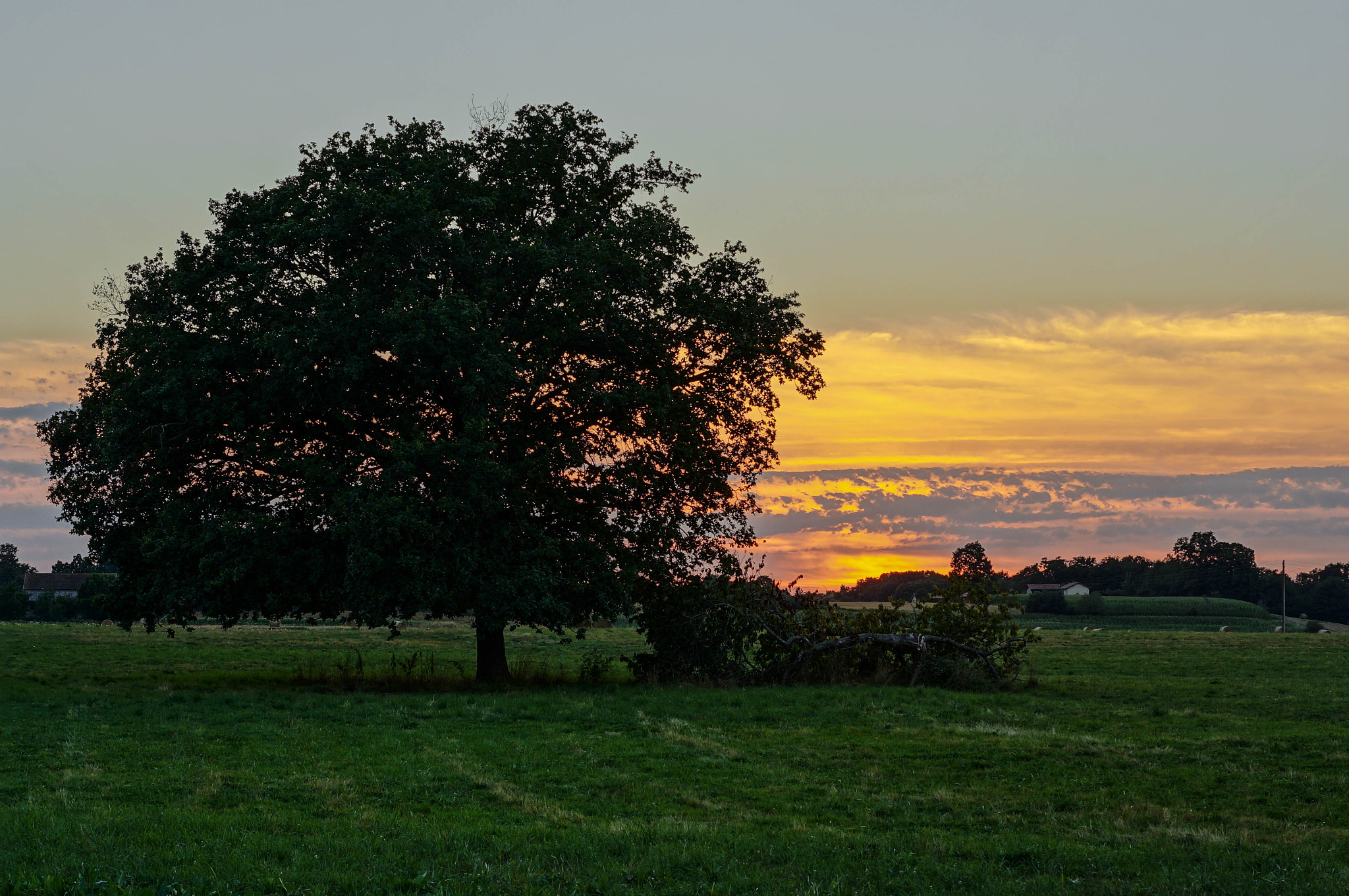 Sony SLT-A57 + Sony DT 50mm F1.8 SAM sample photo. Coucher photography
