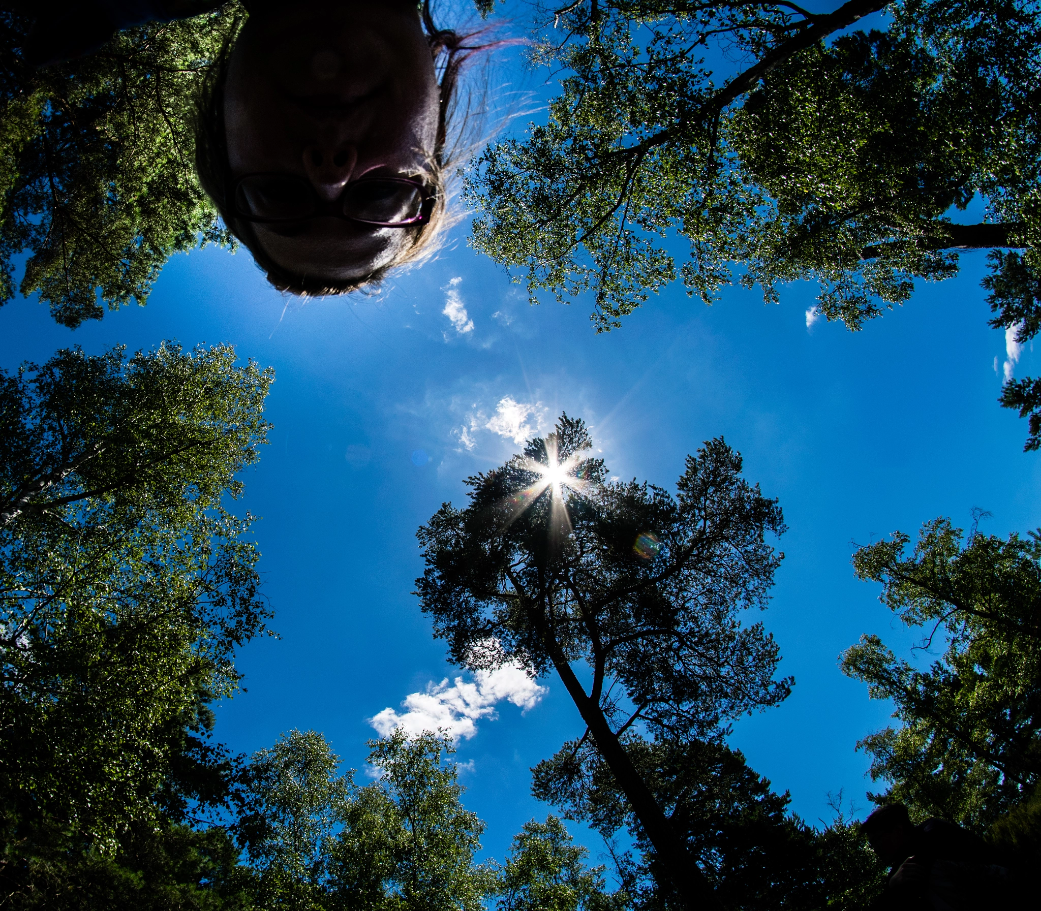 Nikon D3300 + Samyang 8mm F3.5 Aspherical IF MC Fisheye sample photo. Upside down photography