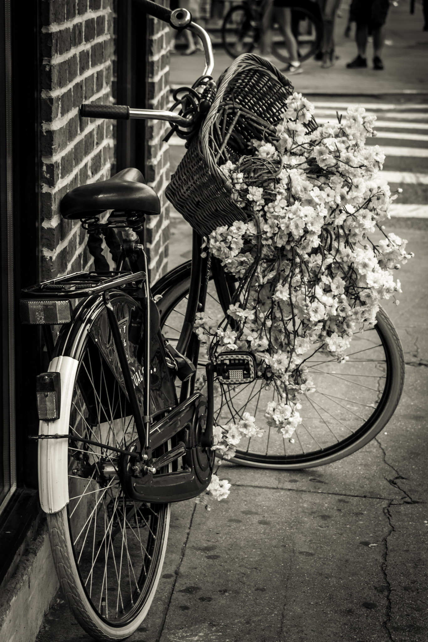 The Bike and the Flower Basket