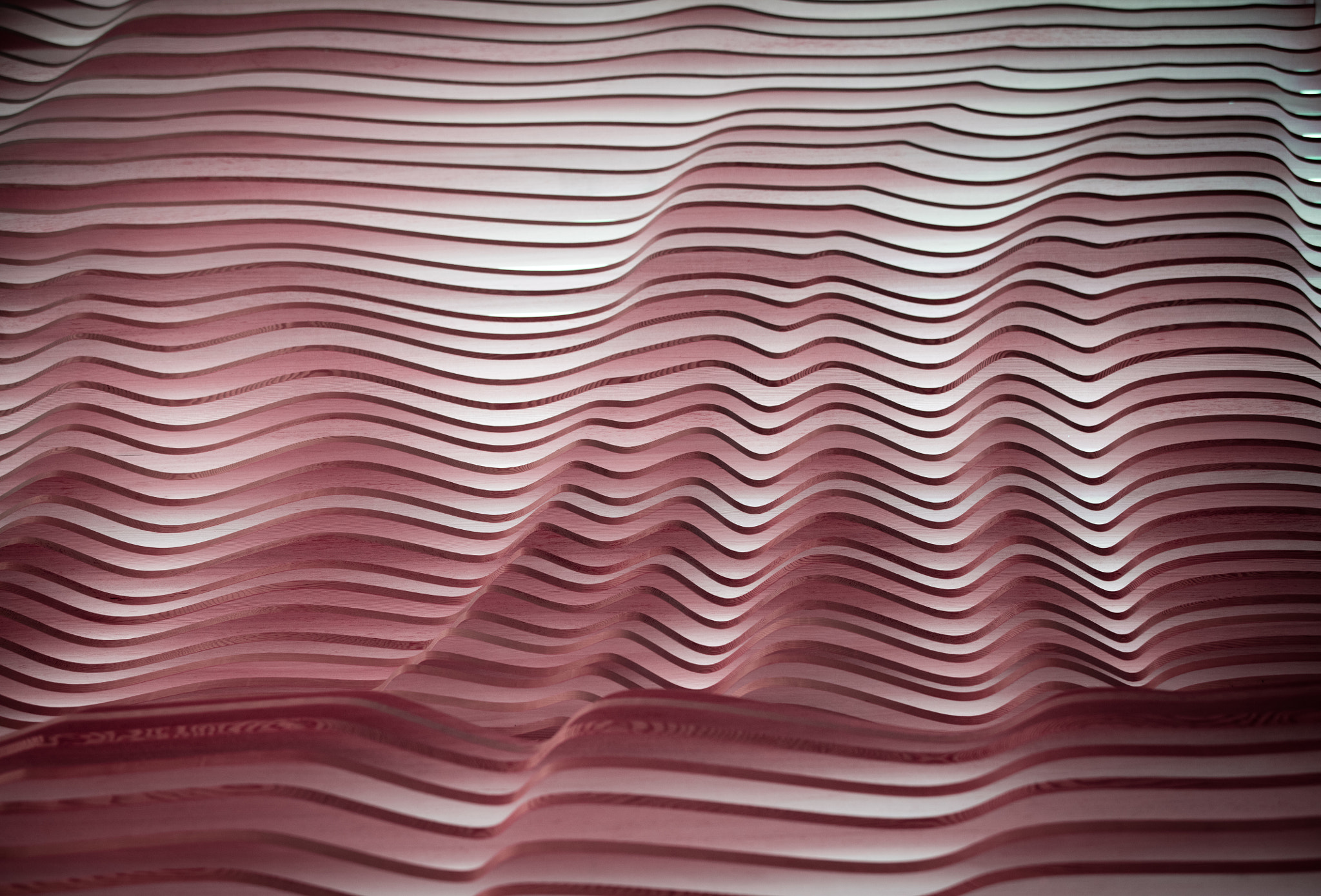Canon EF 70-200mm F2.8L USM sample photo. Pink hue photography