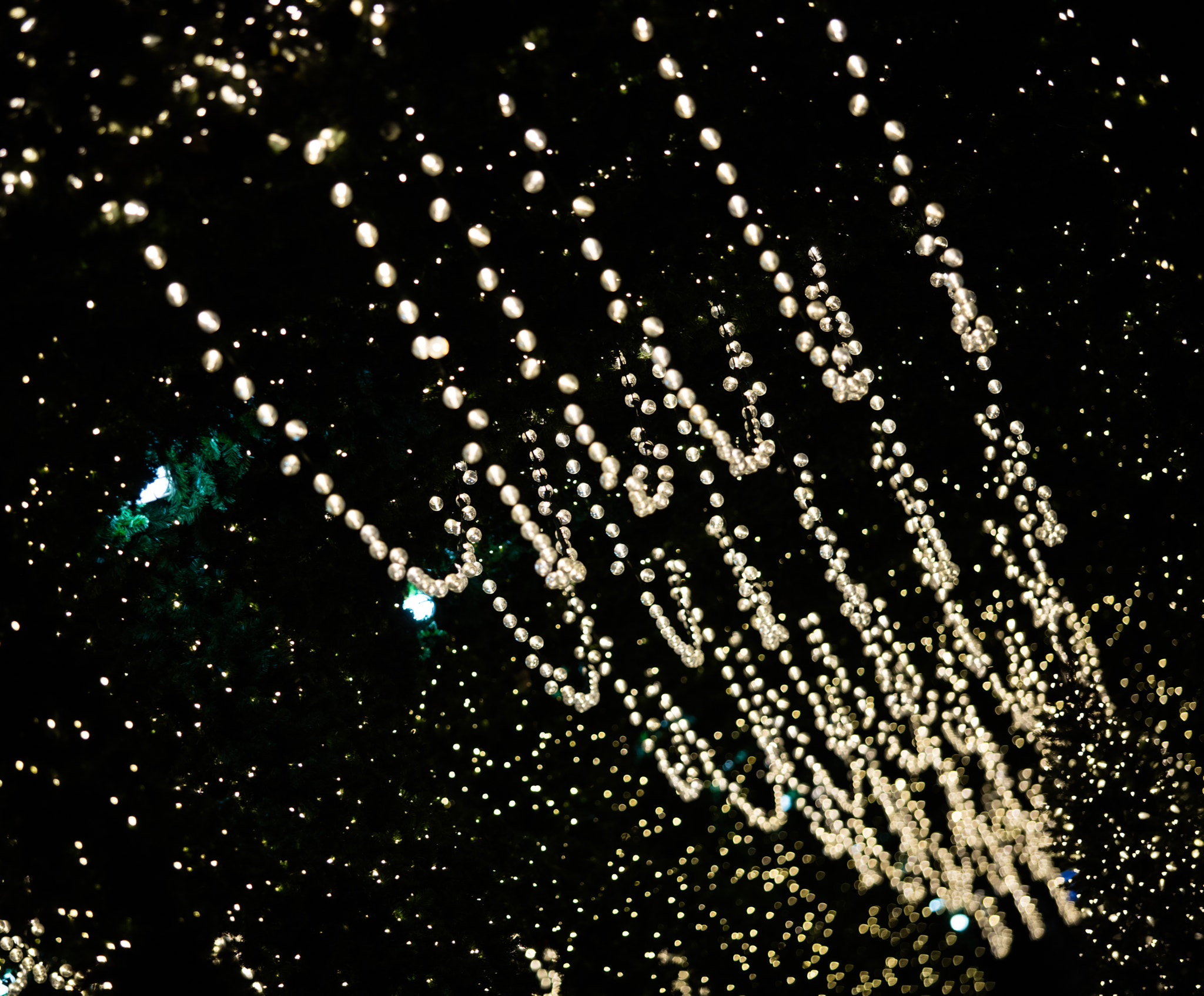 Canon EF 70-200mm F2.8L USM sample photo. Festive photography