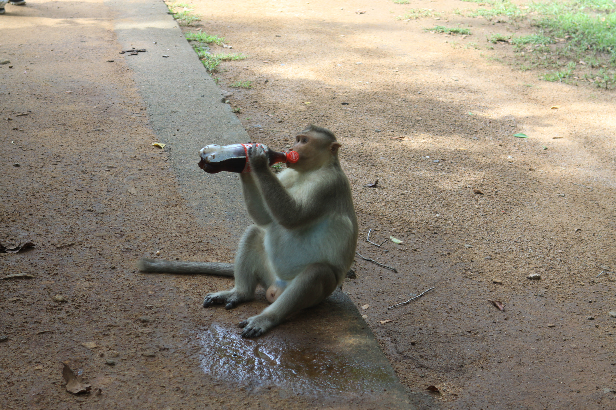 Canon EOS 50D + Canon EF 24-70mm F2.8L USM sample photo. It was such a hot day that... photography