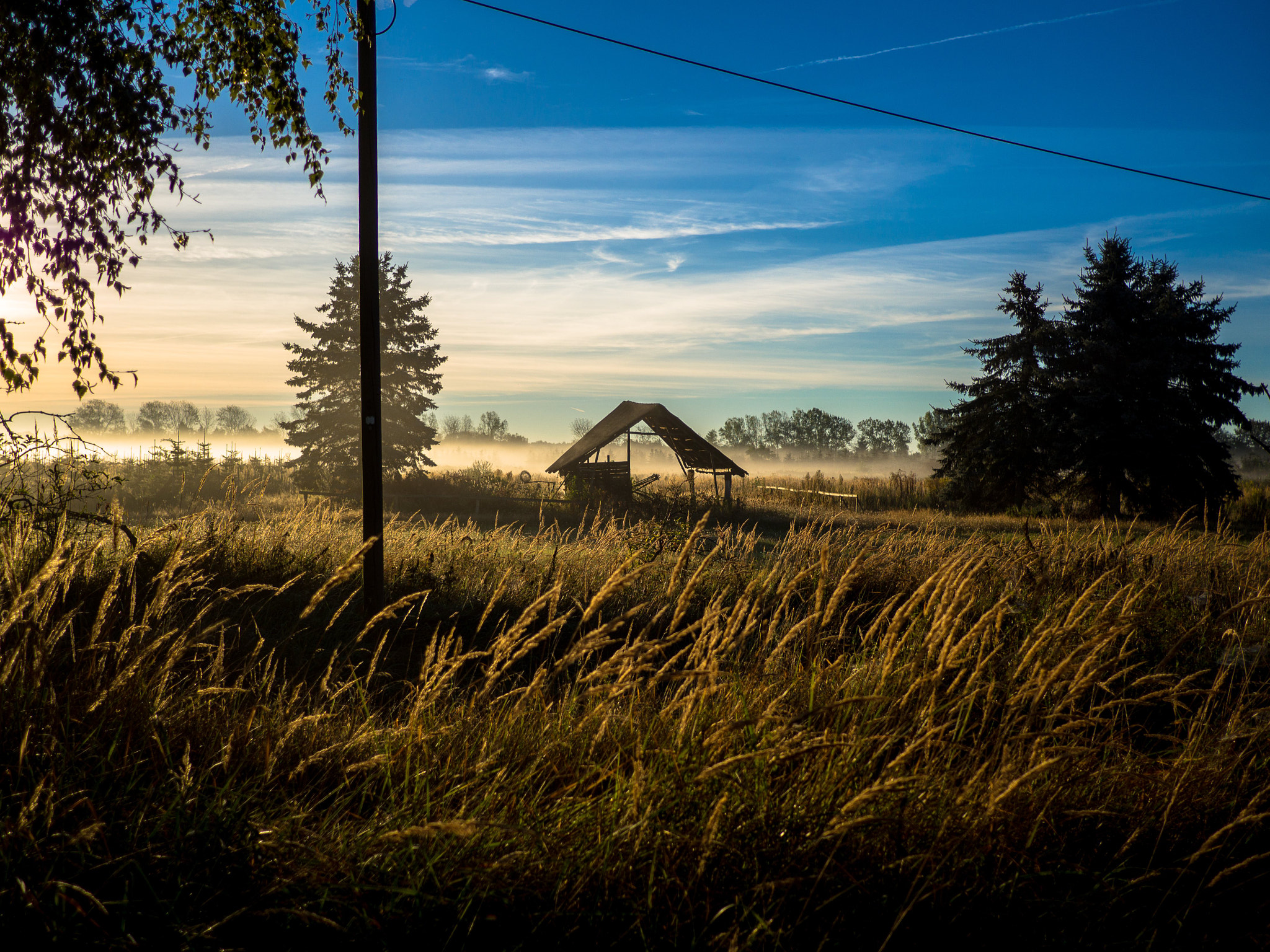 Olympus OM-D E-M10 II + LUMIX G 20/F1.7 II sample photo. Way to work in the morning...always a motivation to go with the road bike photography