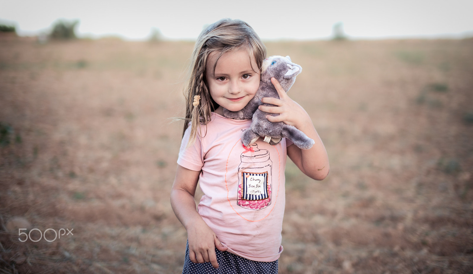 Nikon D610 + Sigma 50mm F1.4 EX DG HSM sample photo. Tell me cat photography