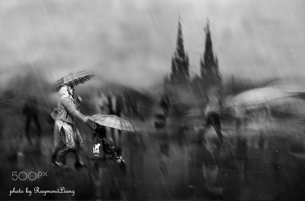 Nikon D3 sample photo. Rainy day photography
