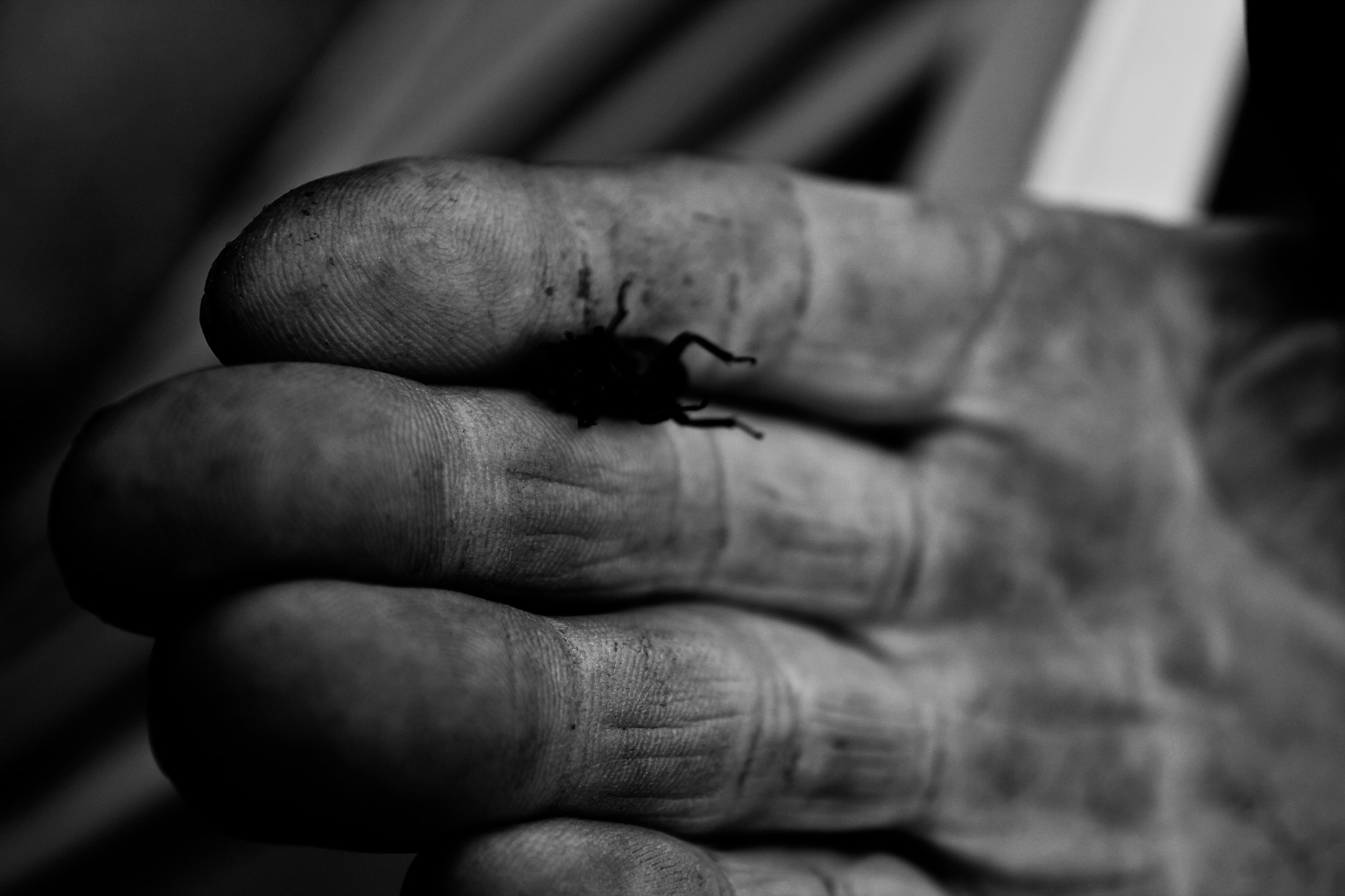 Canon EOS 550D (EOS Rebel T2i / EOS Kiss X4) sample photo. Well-worn farmer's hands photography